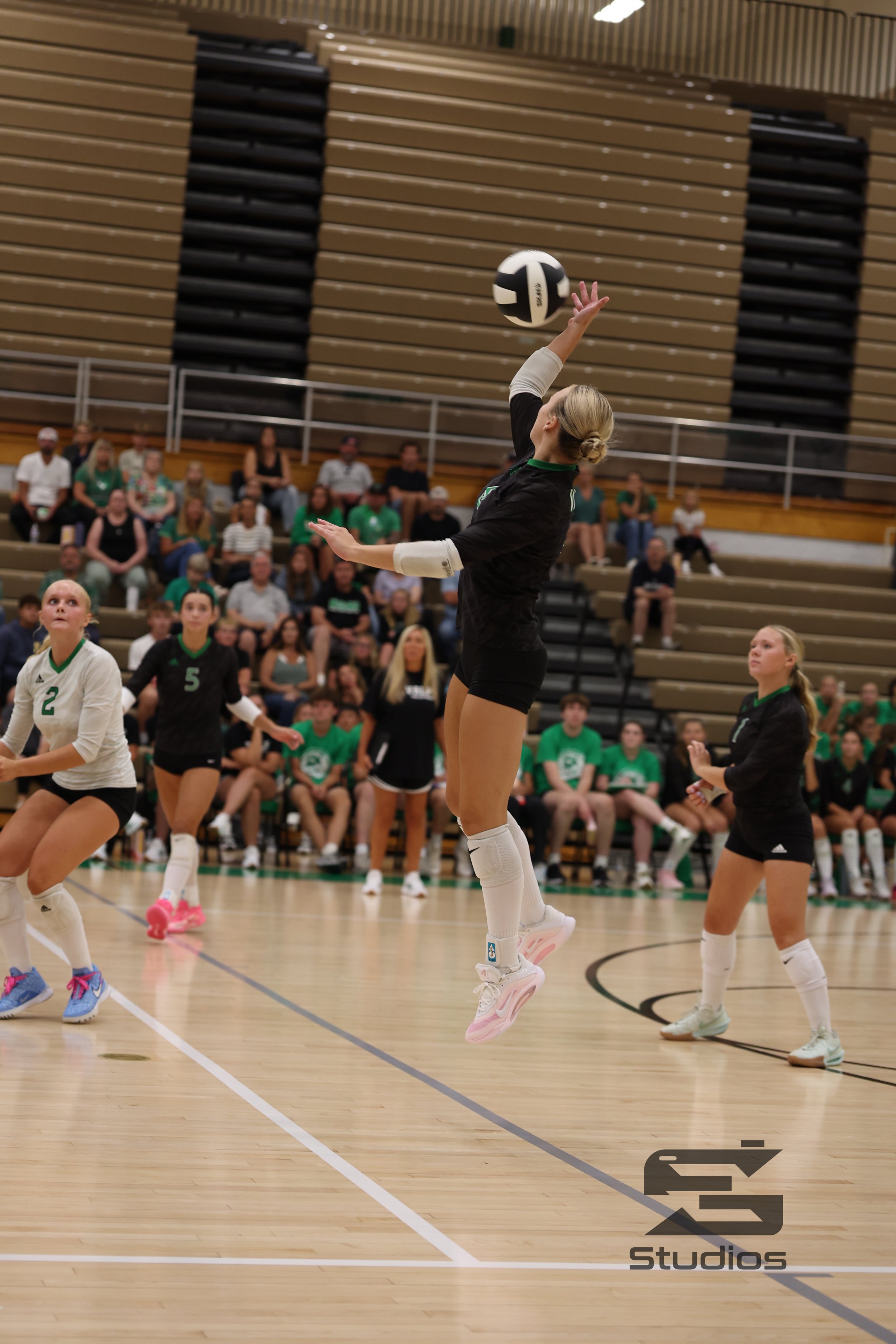 A volleyball player in black uniform jumps to hit the ball during a match in an indoor gym with an audience in the background.