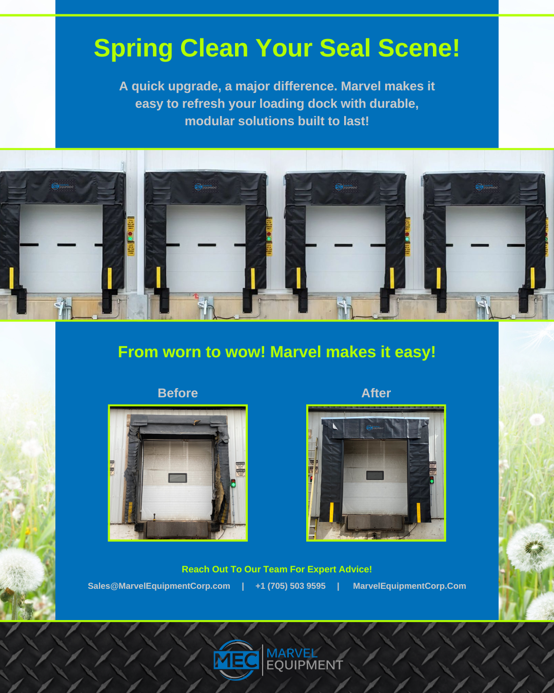 Spring Clean Your Seal Scene.png