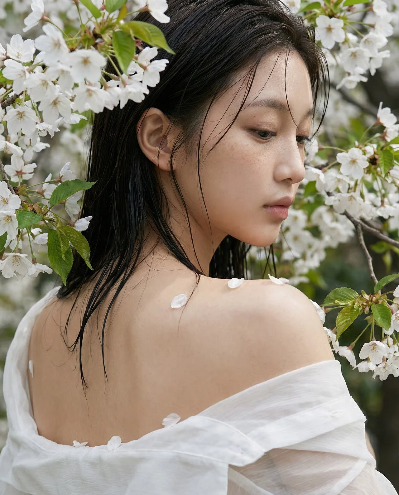 A young woman with wet black hair and light skin, standing amidst blooming white cherry blossom flowers, with some flower petals on her shoulder and back, wearing a white off-the-shoulder garment.