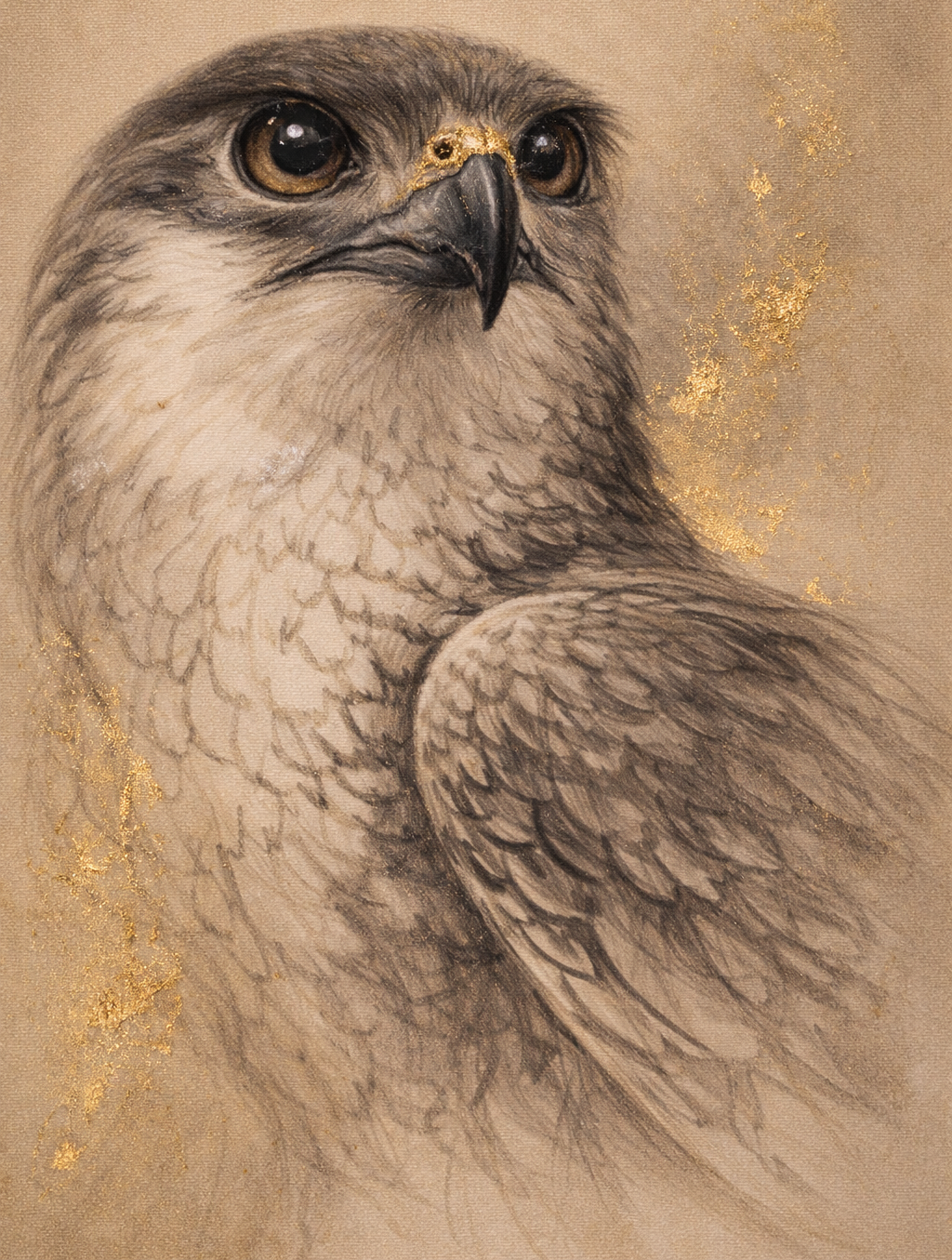 Falcon artwork by Tarana Sumer, contemporary symbolic fine art inspired by Middle Eastern culture