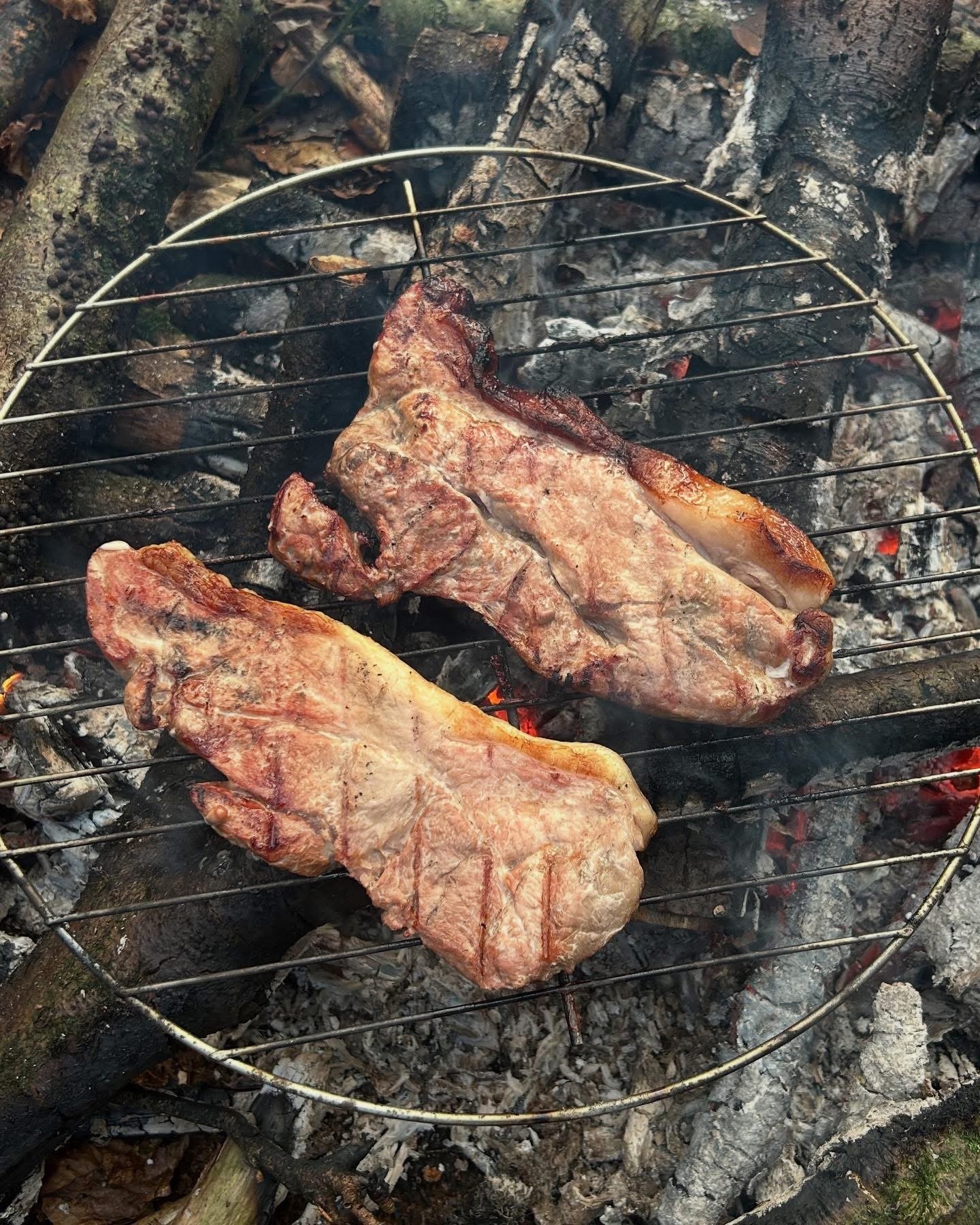 Two pieces of meat cooking on a grill over a campfire with logs and ashes.