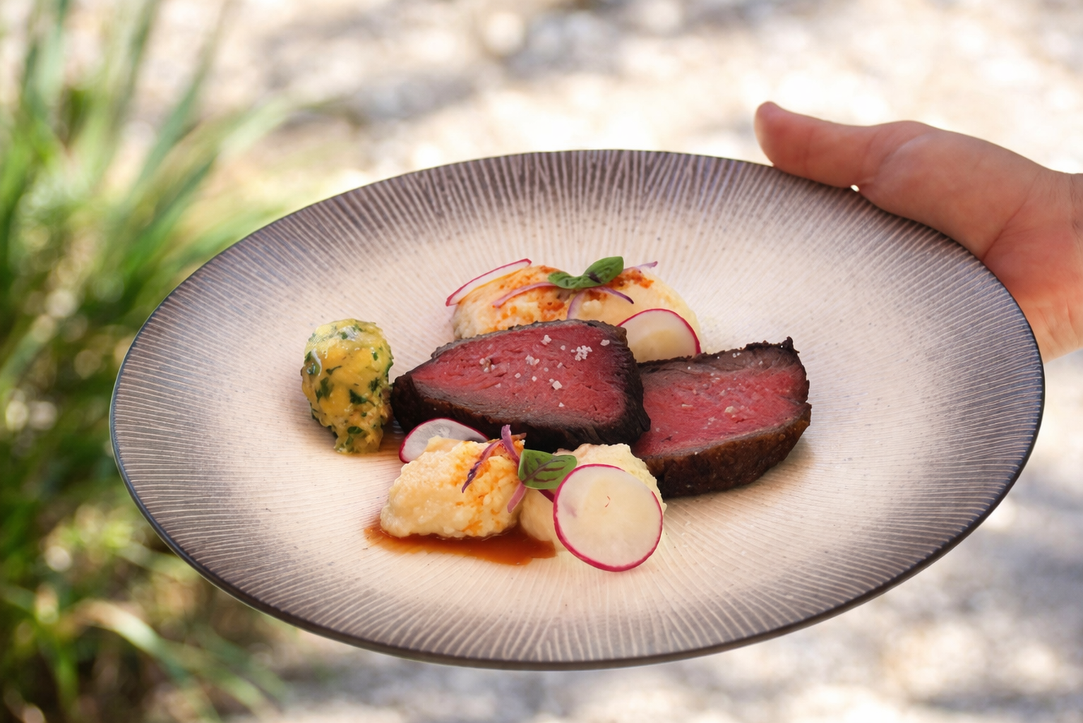 Plate avec filet de bœuf cuit à point, accompagné de purée, de légumes et de radis, présenté de façon élégante.