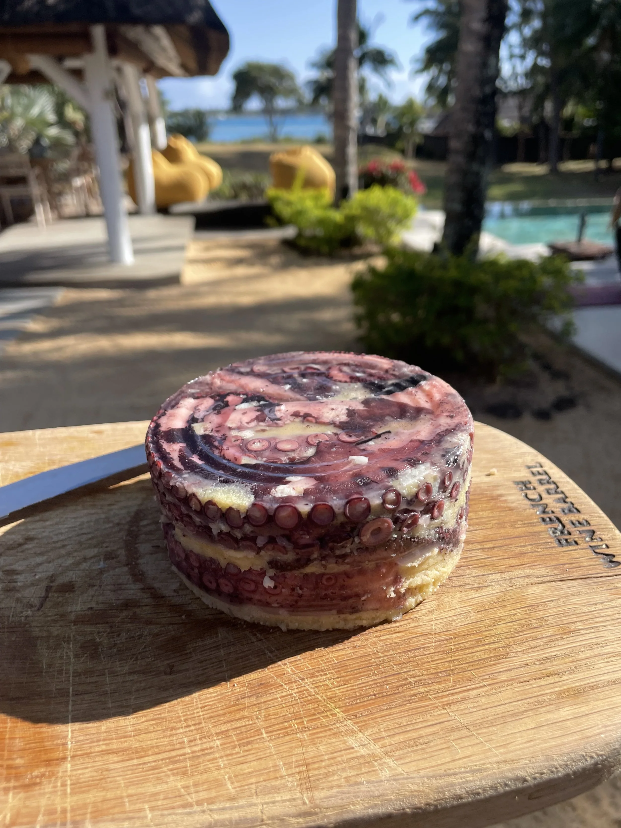 Fromage frais aux morceaux de fruits rouges, posé sur une planche en bois à l'extérieur, avec un paysage de piscine, palmier, et structures en arrière-plan.