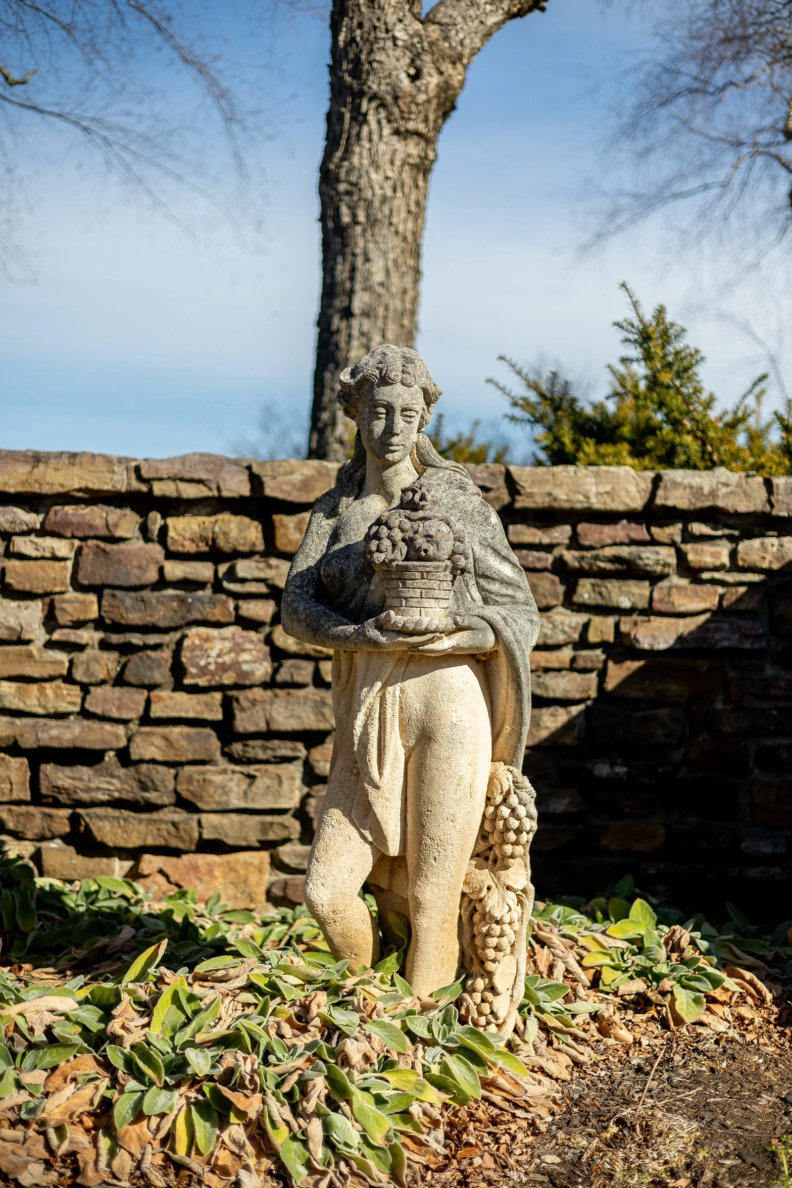 Raheen_exterior (32 of 69).jpg