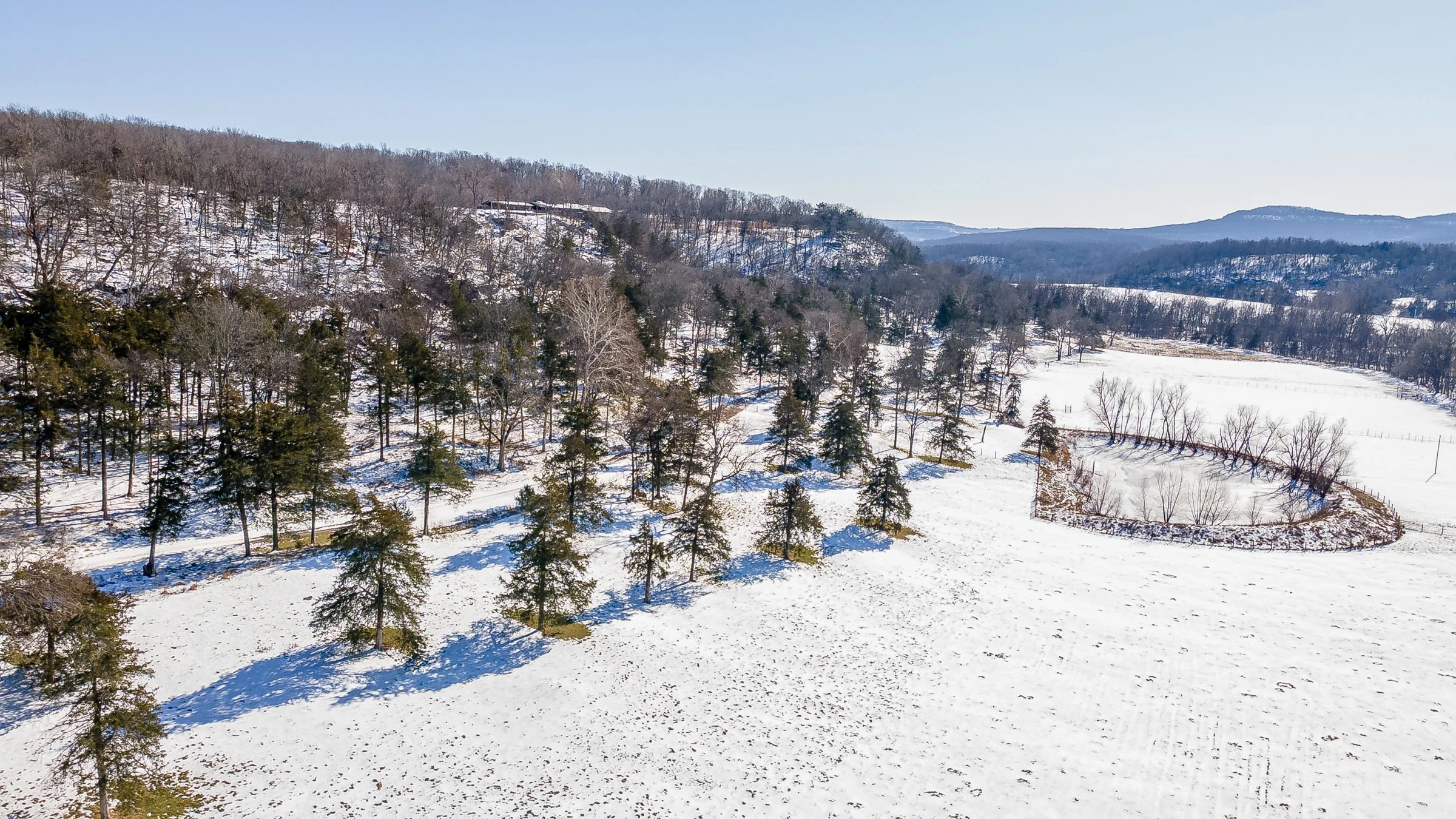 Raheen_aerials_snow (22 of 98).jpg