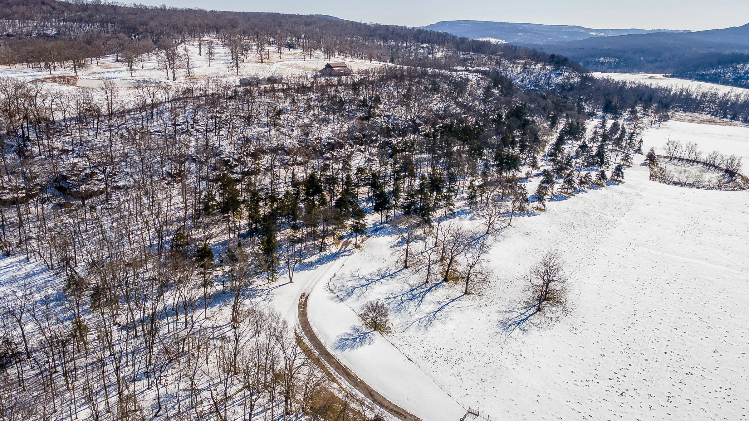 Raheen_aerials_snow (1 of 98).jpg