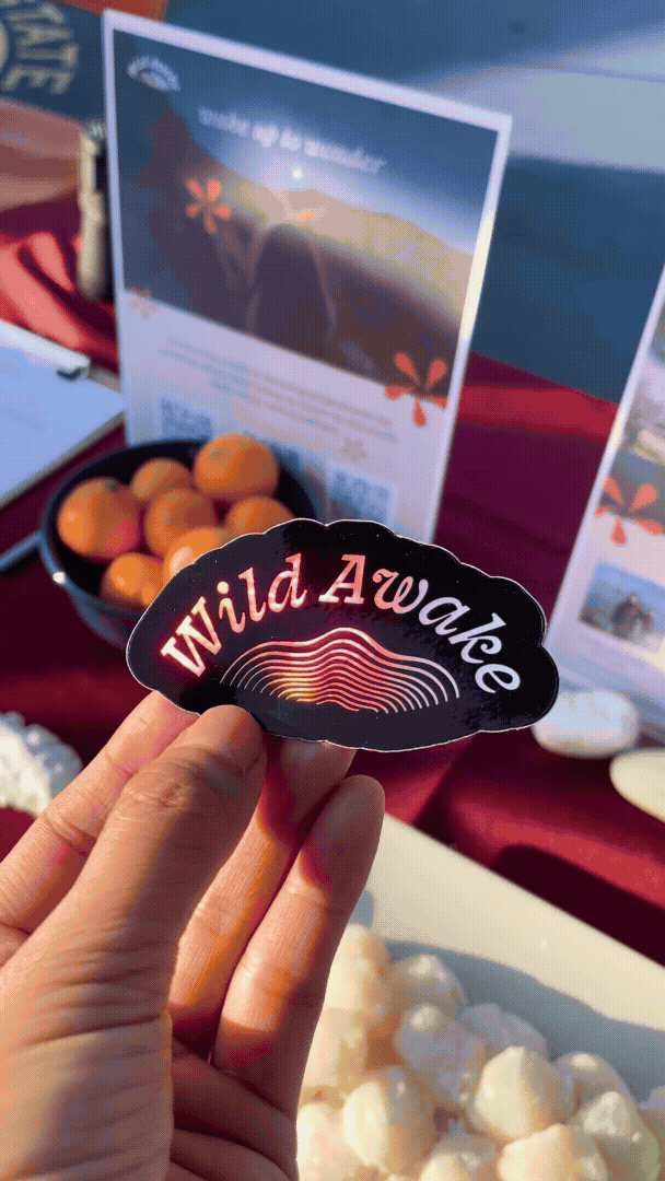 Gif of a hand holding a multicolored, holographic sticker with the text 'Wild Awake' over a display table with fruit and informational signs at an outdoor event.