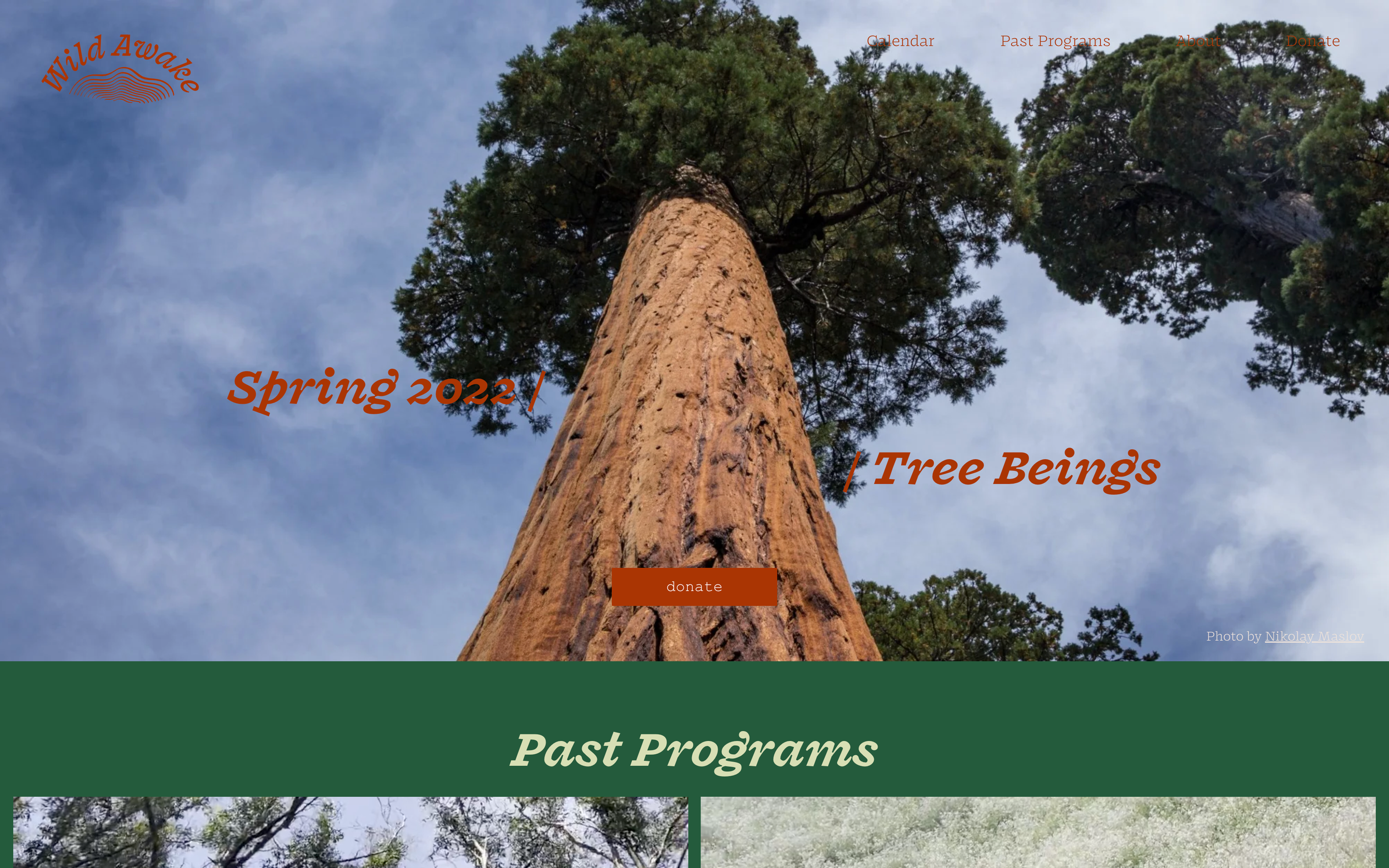 Screenshot 2023-06-15 at 3.46.41 PM.png