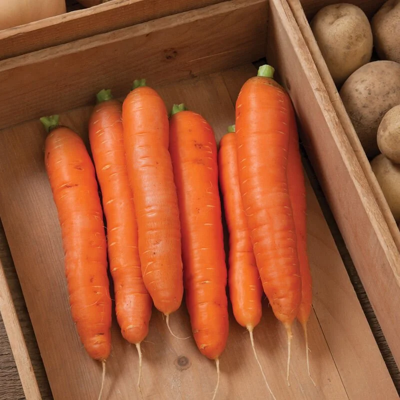 Carrots