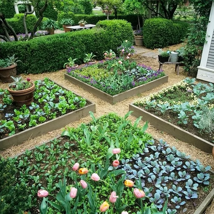 Raised Beds