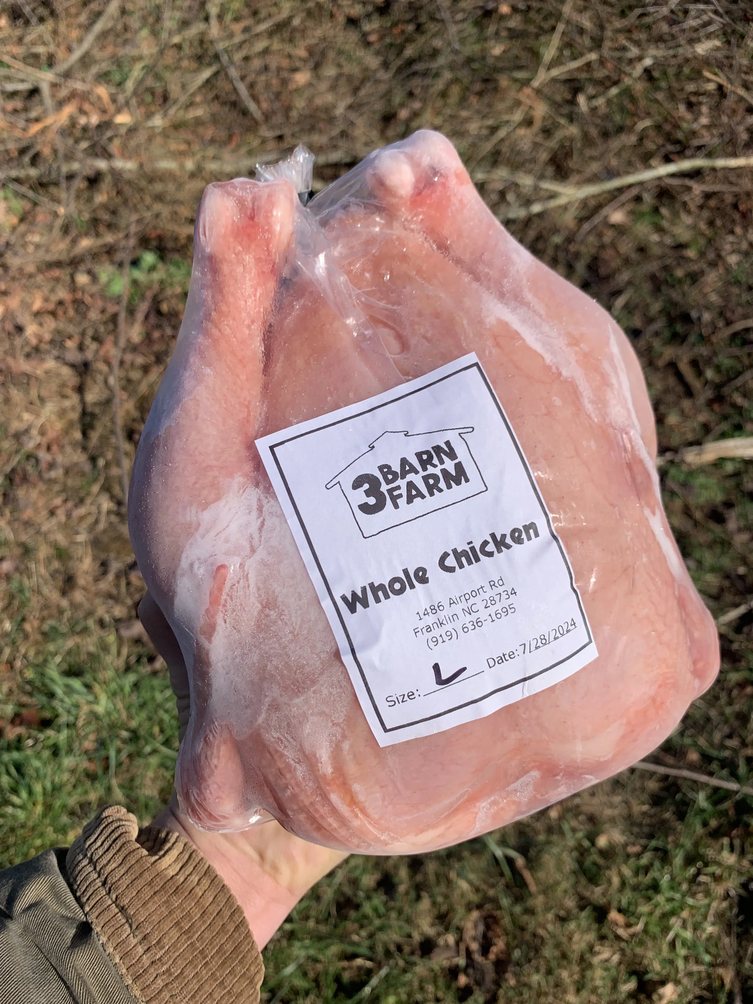 Pastured Chicken
