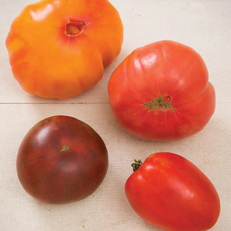 Heirloom Tomato
