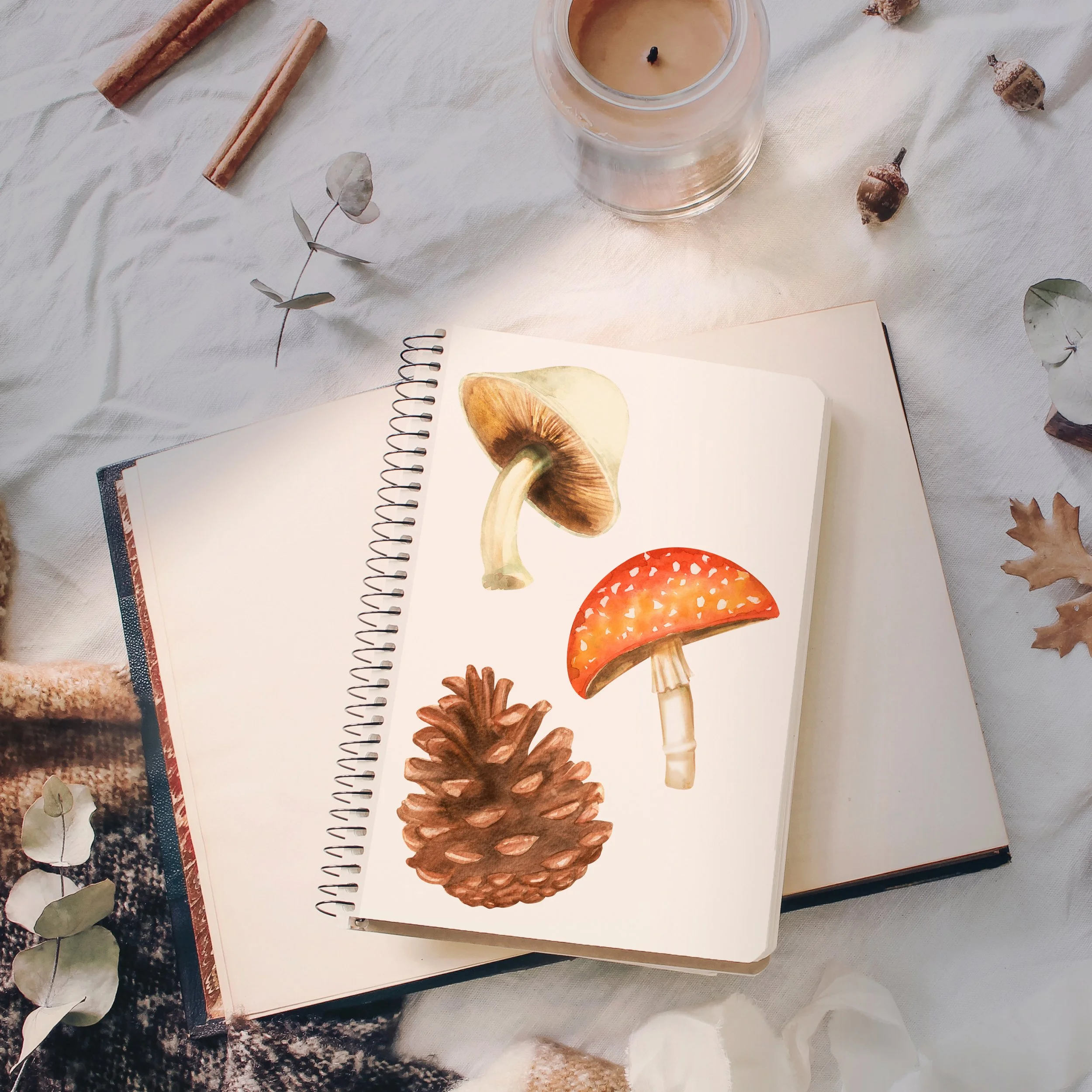 nature morte aquarelle, champignon aquarelle