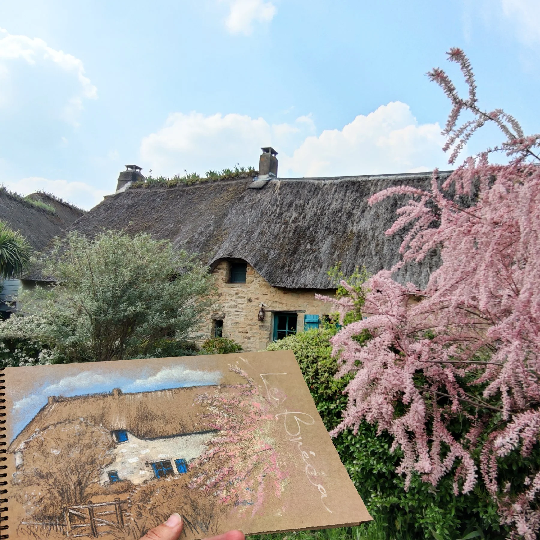 cours de dessin en Brière, Saint Lyphard, La Baule, Guérande