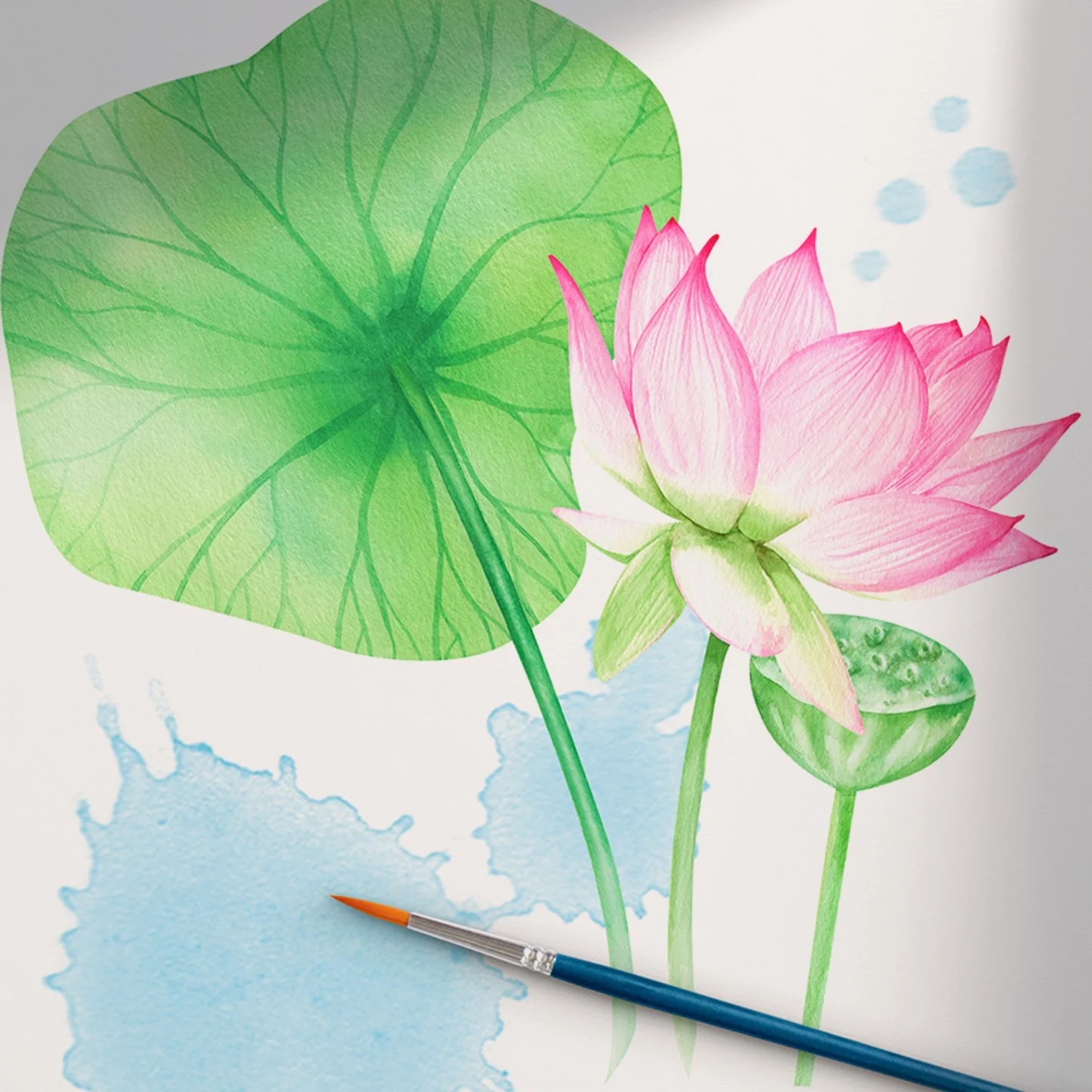 aquarelle décorative, nenuphar et lotus