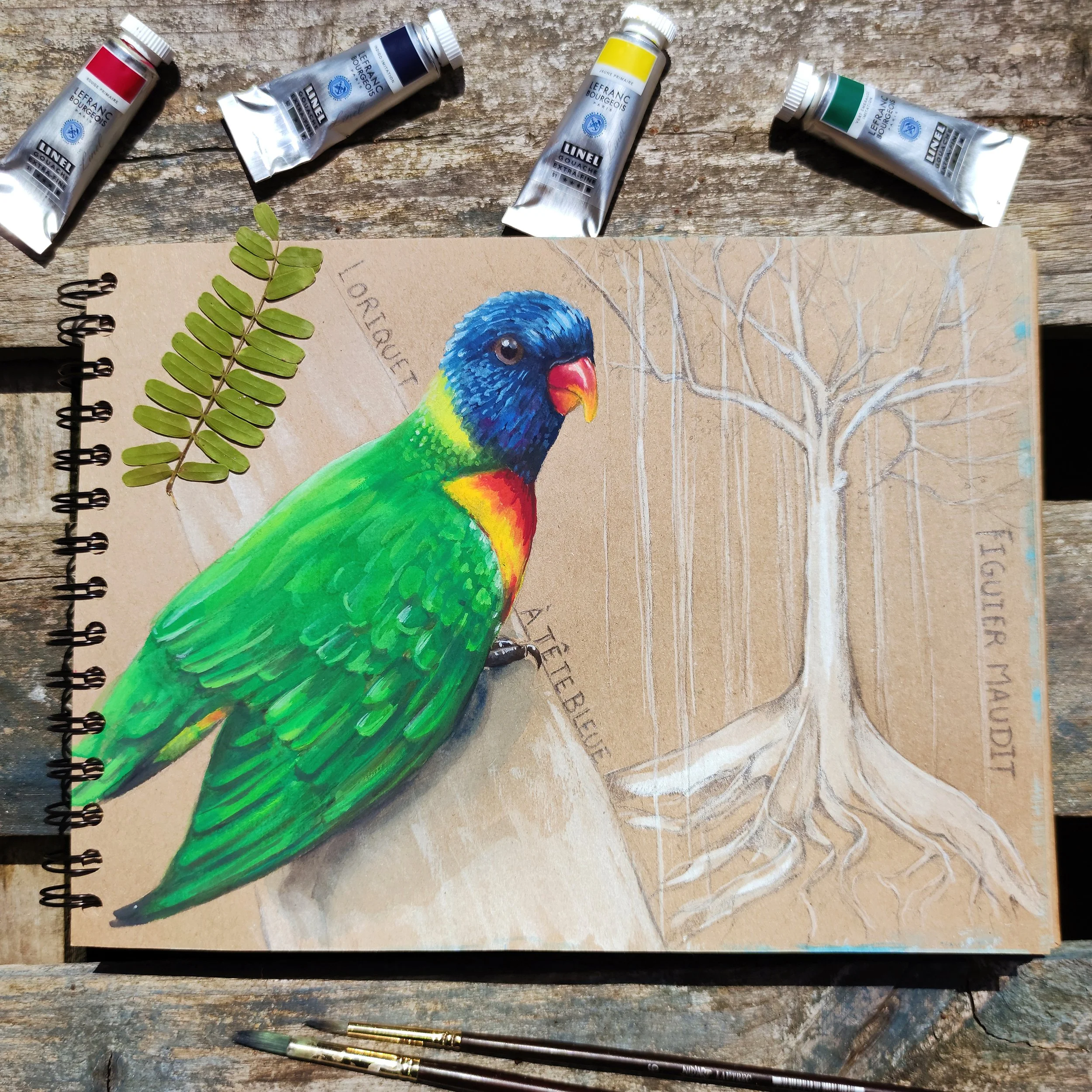 Oiseau à la gouache, cours de gouache pour  débutant, carnet de voyage gouache