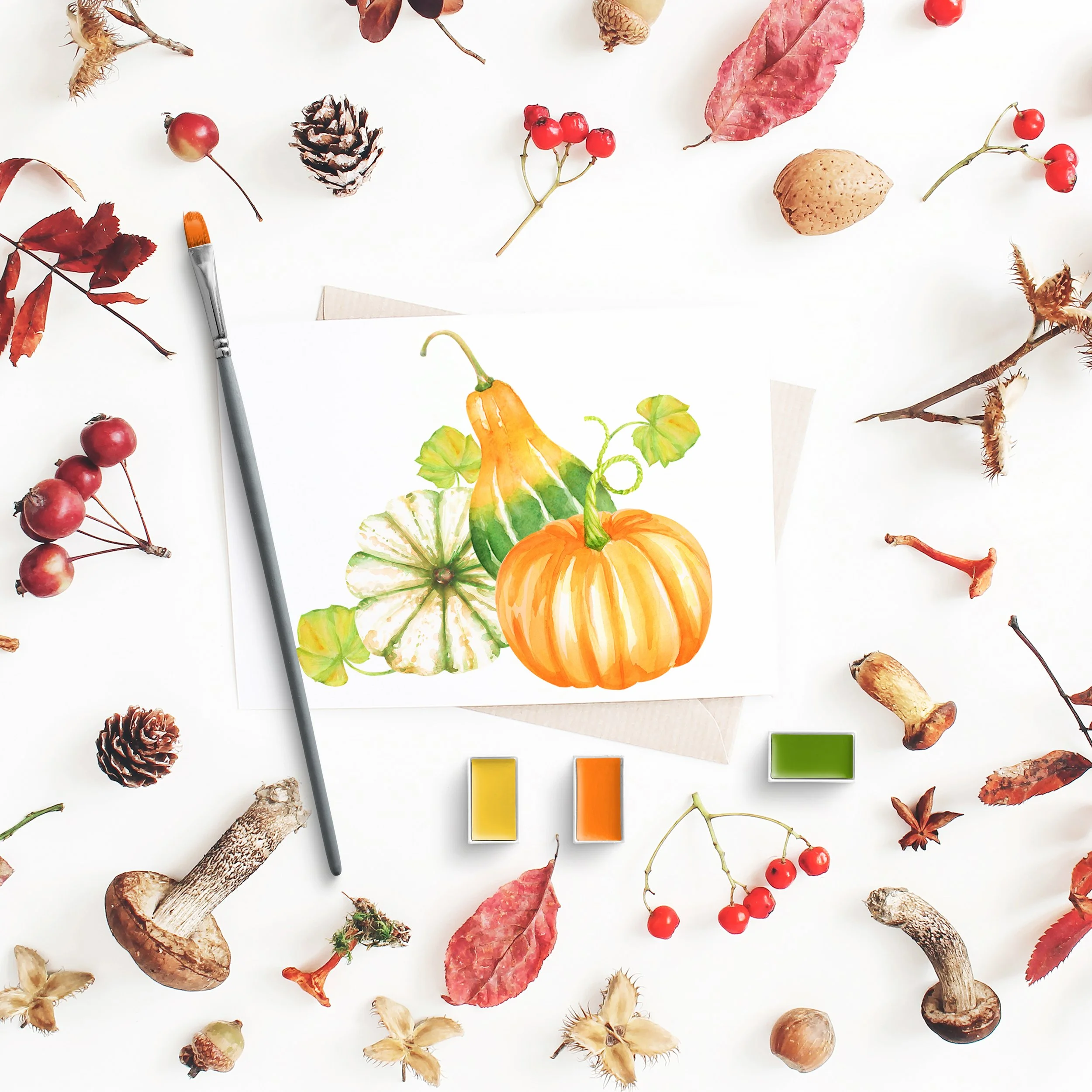 illustration d'automne, potiron, citrouille à l'aquarelle