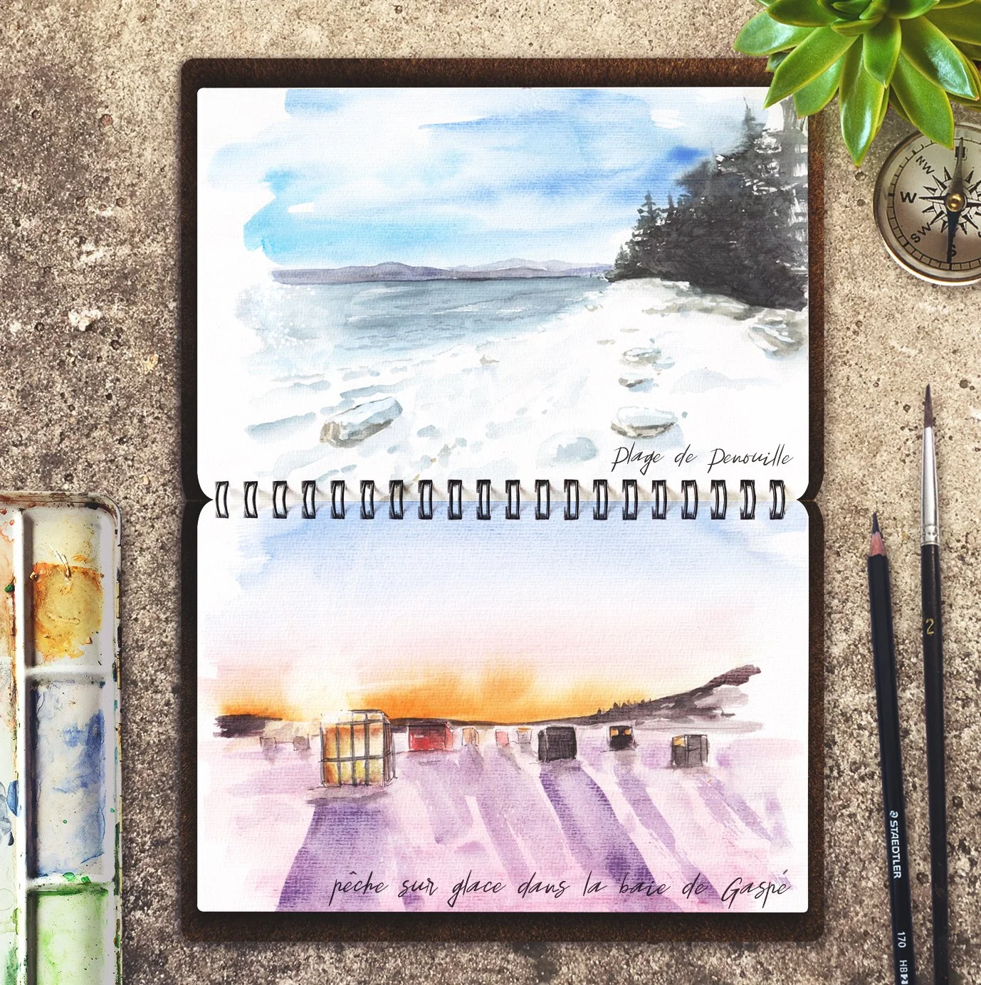 carnet de voyage aquarelle au Québec, illustrations Gaspésie