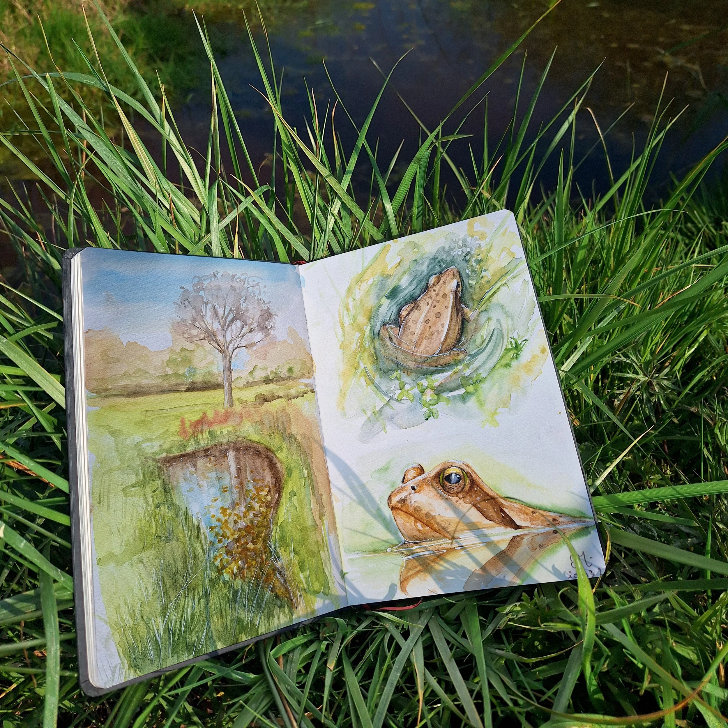 carnet de voyage aquarelle.jpg