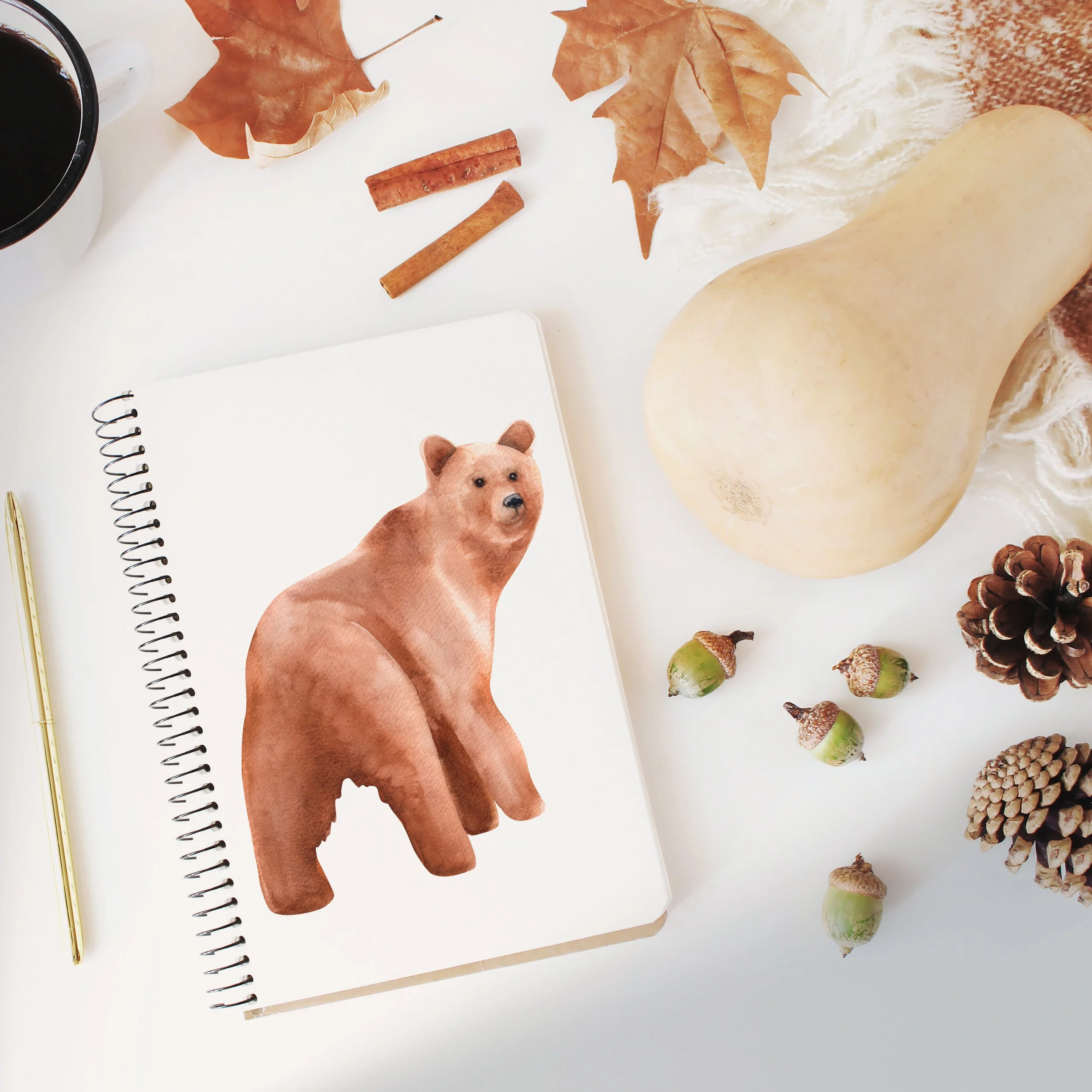 Aquarelle ours mignon, dessin facile tuto