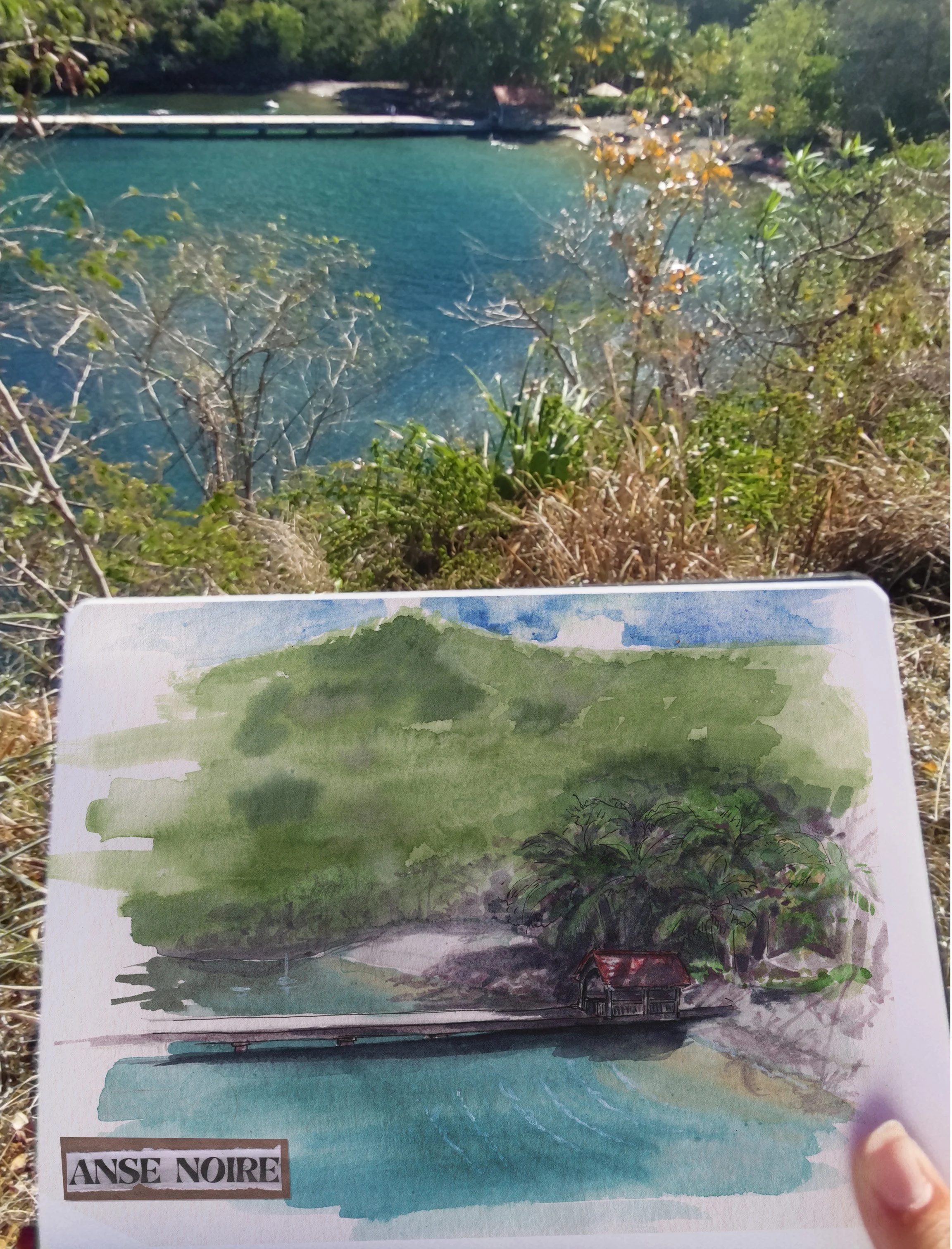 paysage exotique à l'aquarelle, anse noire , Martinique