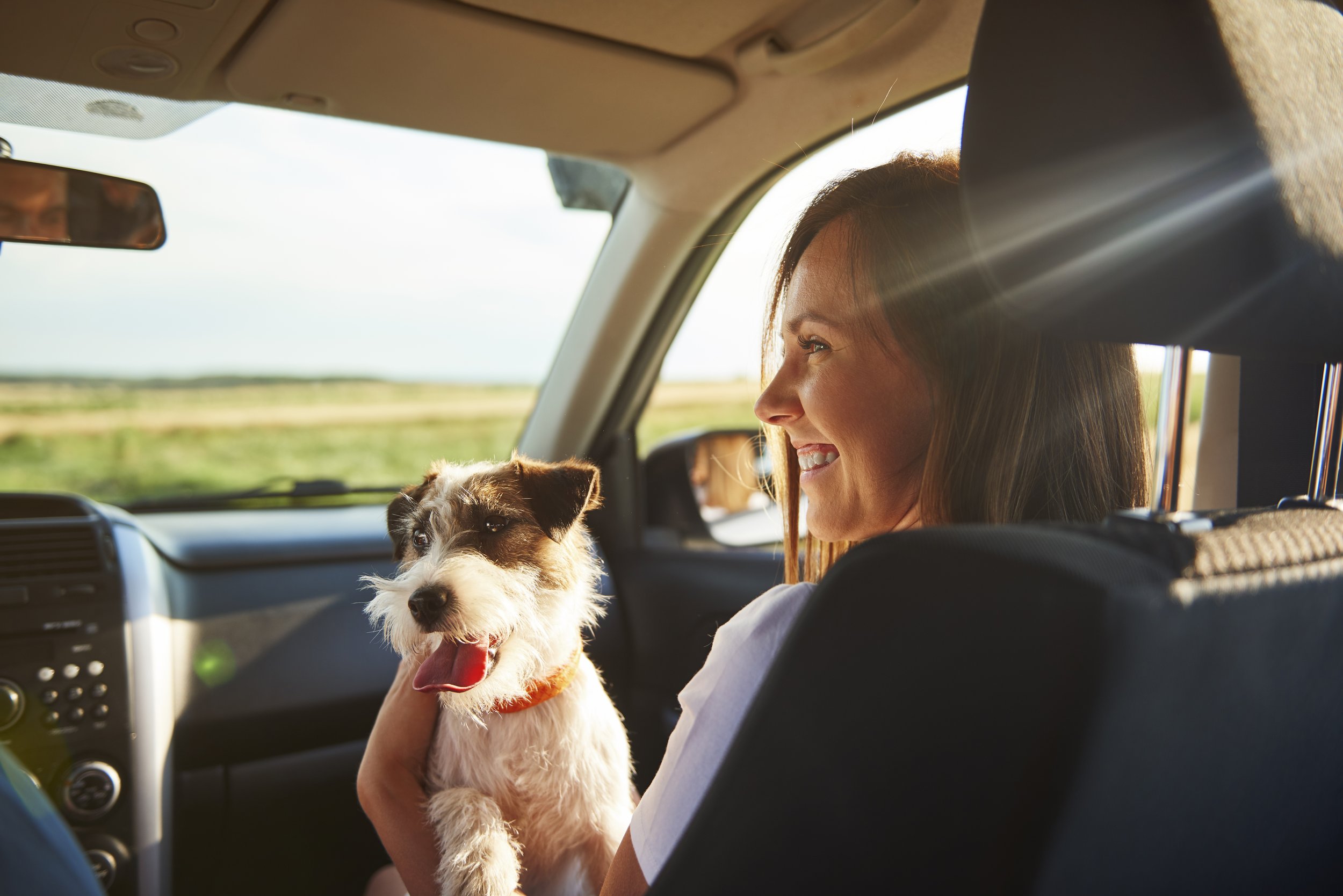 A woman with brown hair smiling while holding a small dog inside a car with sunlight streaming through the window.