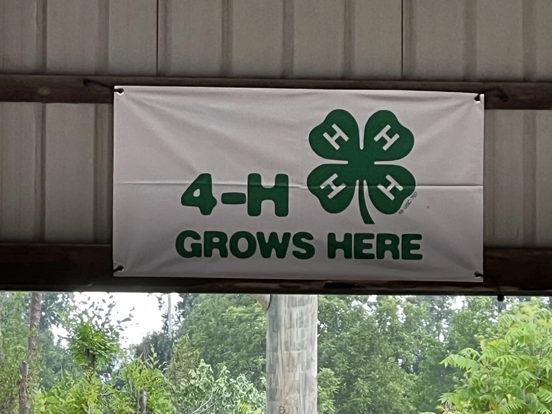 4-H Grows Here.jpg