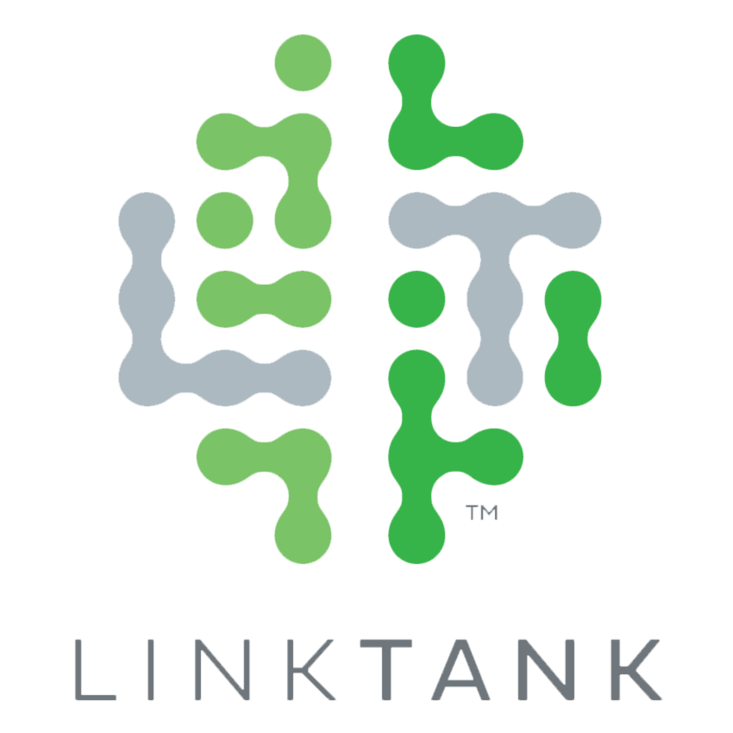 Linktank Marketing strategy services for growing businesses