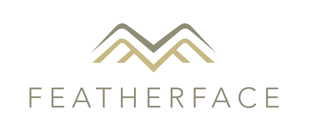 FEATHERFACE Marketing strategy services for growing businesses