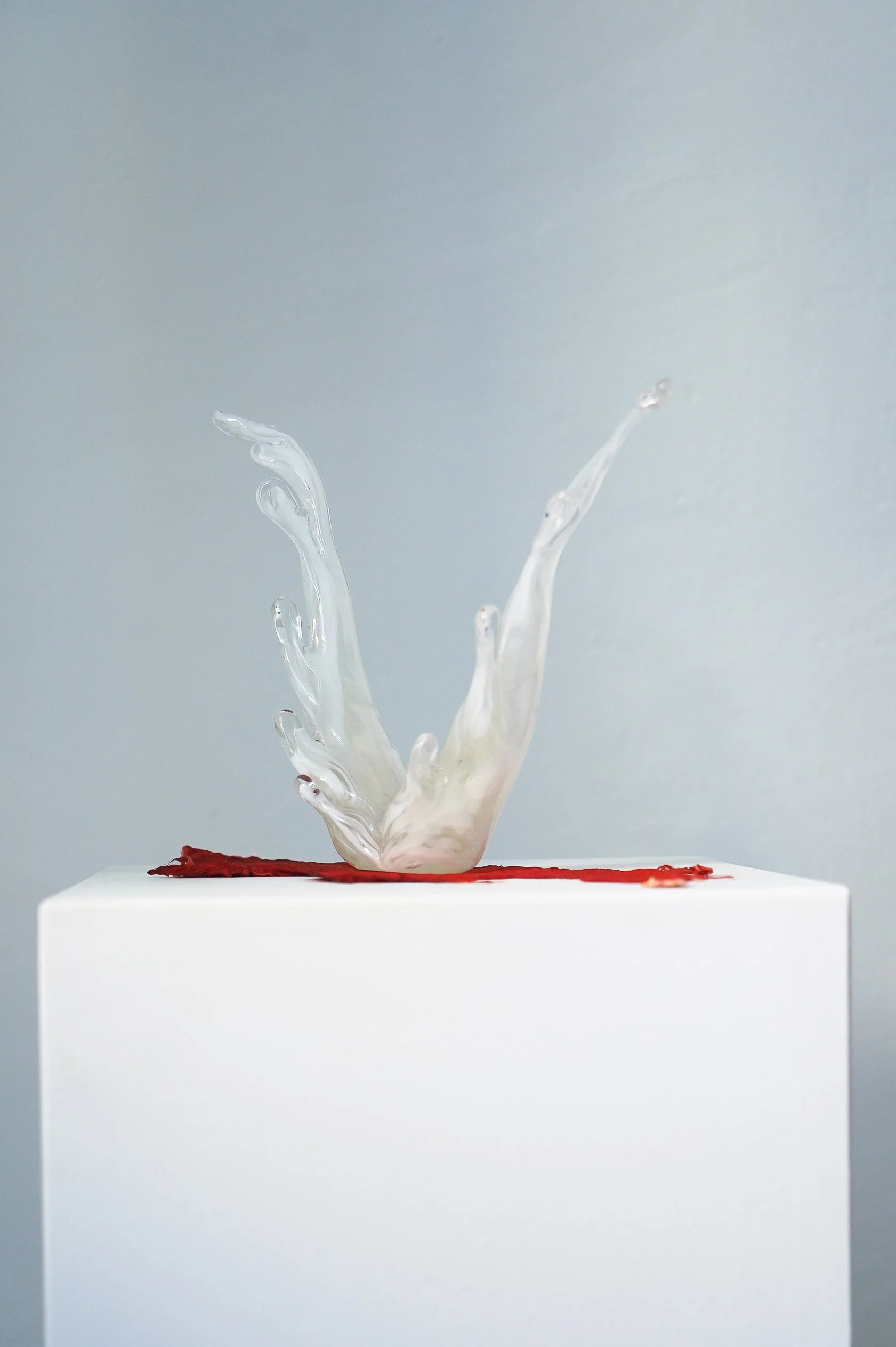 Colombe de la Paix (2025)