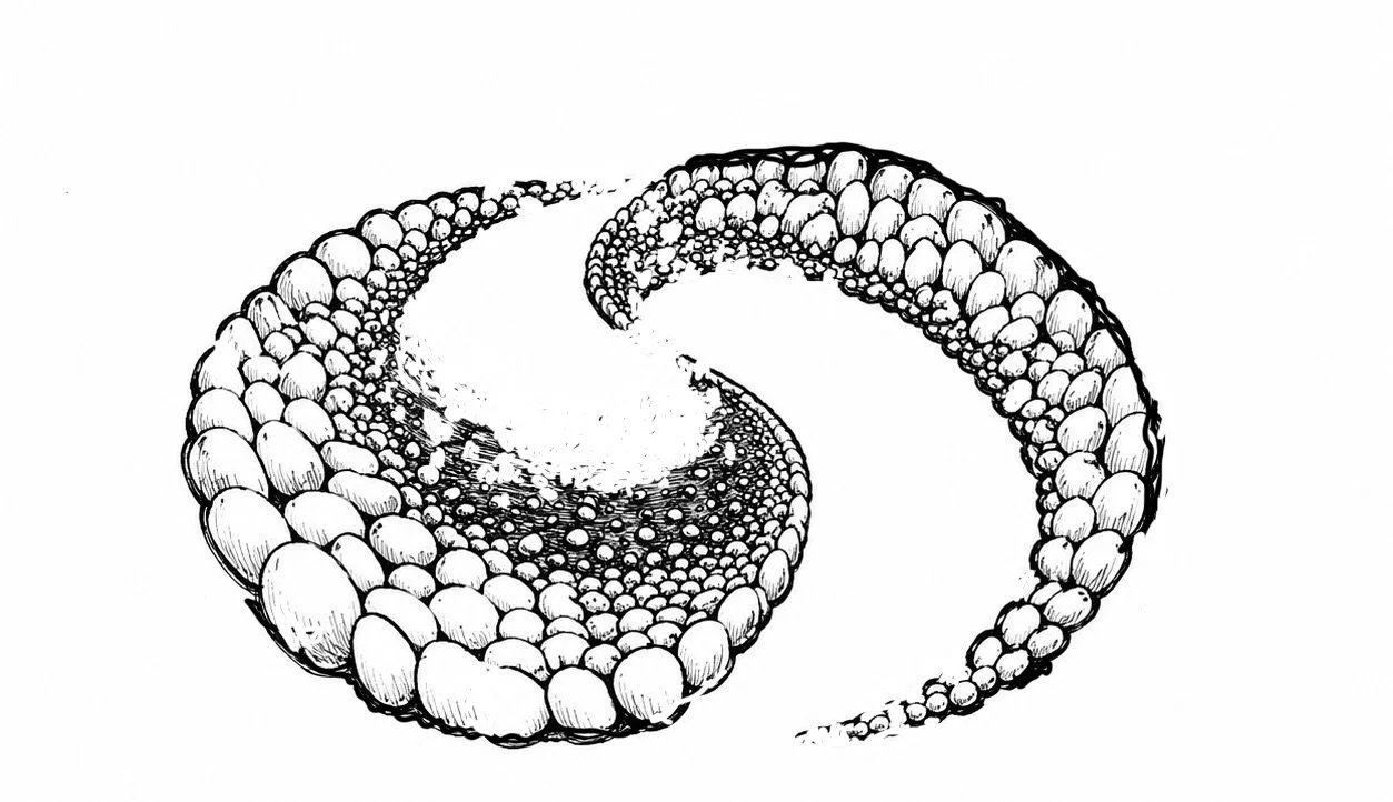277B6A56-EA33-4E49-BBEC-2EF1DBC4B910.jpeg