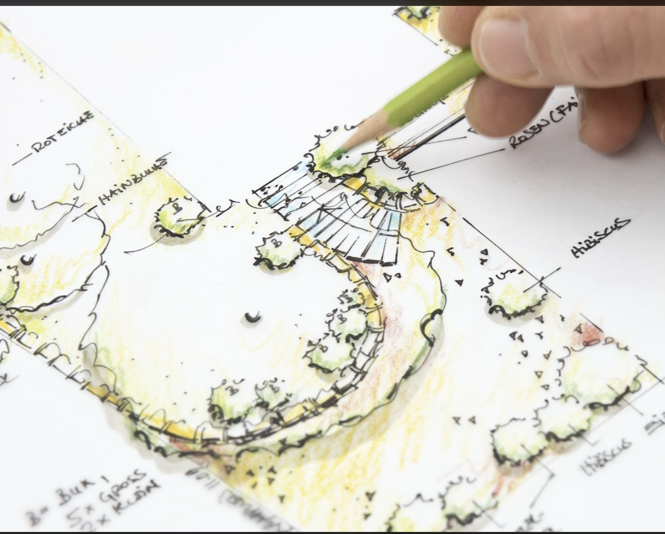 A hand holding a colored pencil sketches a landscape design on paper, including labeled elements like terraces, bushes, and a retaining wall.