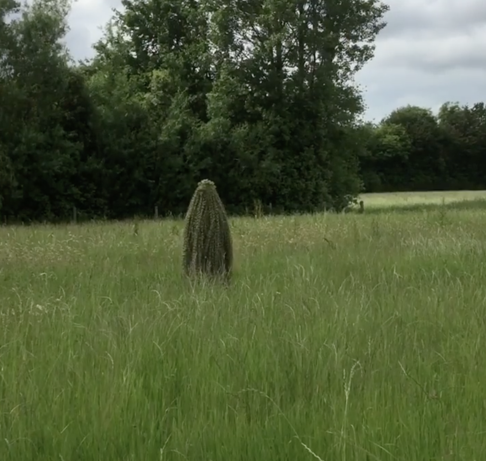 Film Still from #SixUnravel