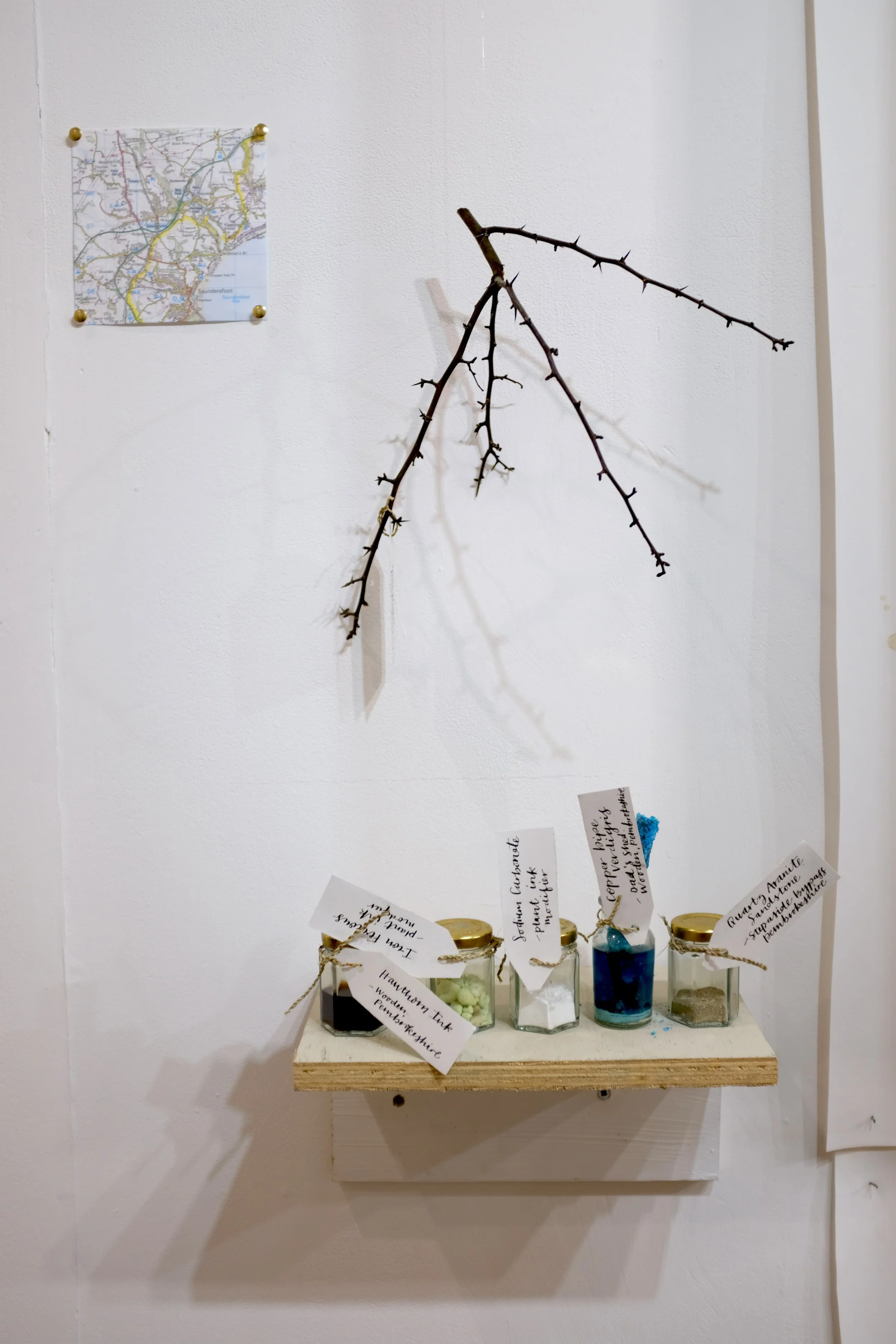 Close up map, shelf, hawthorn.JPG