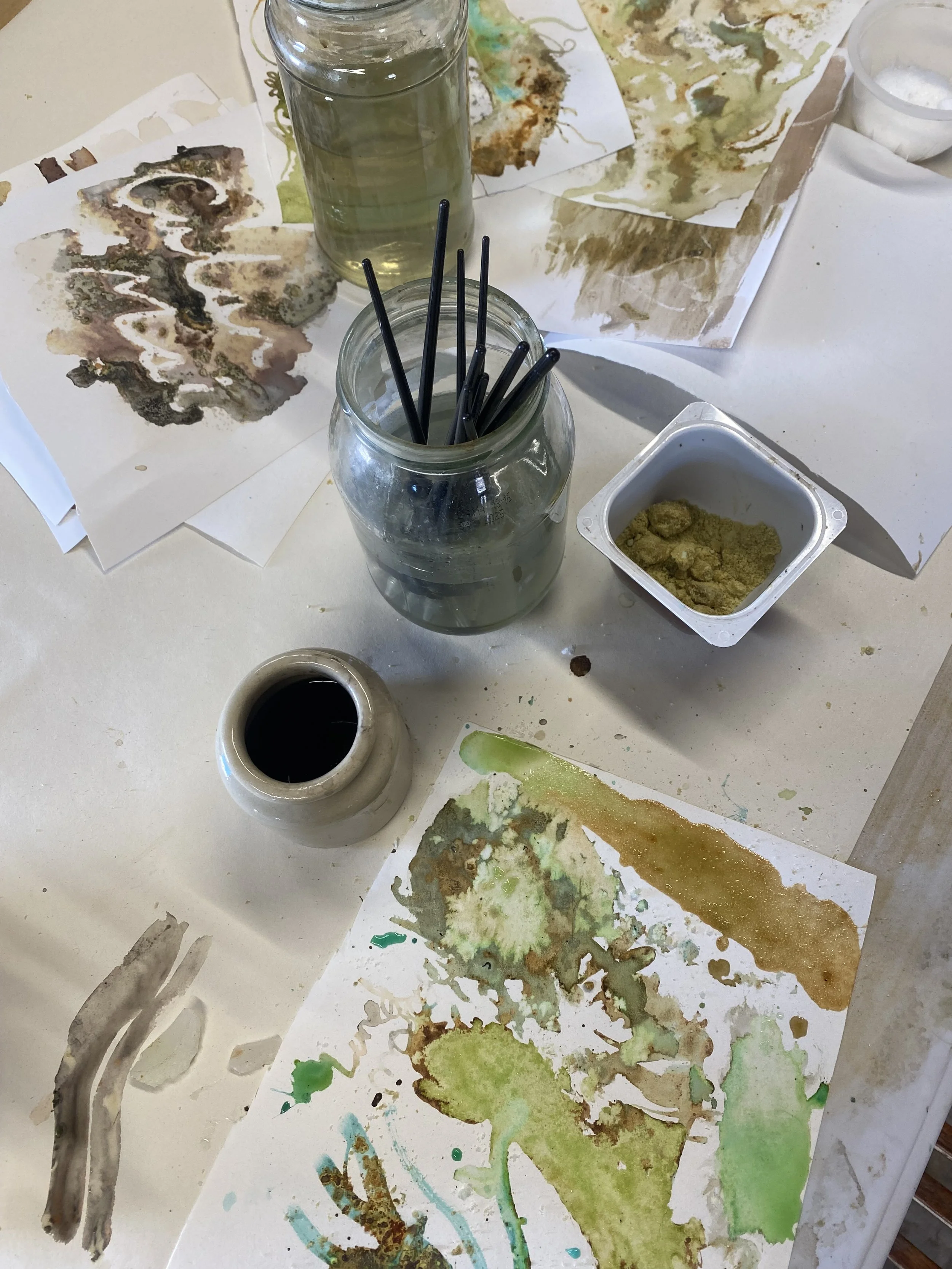 IMG_5880.jpeg