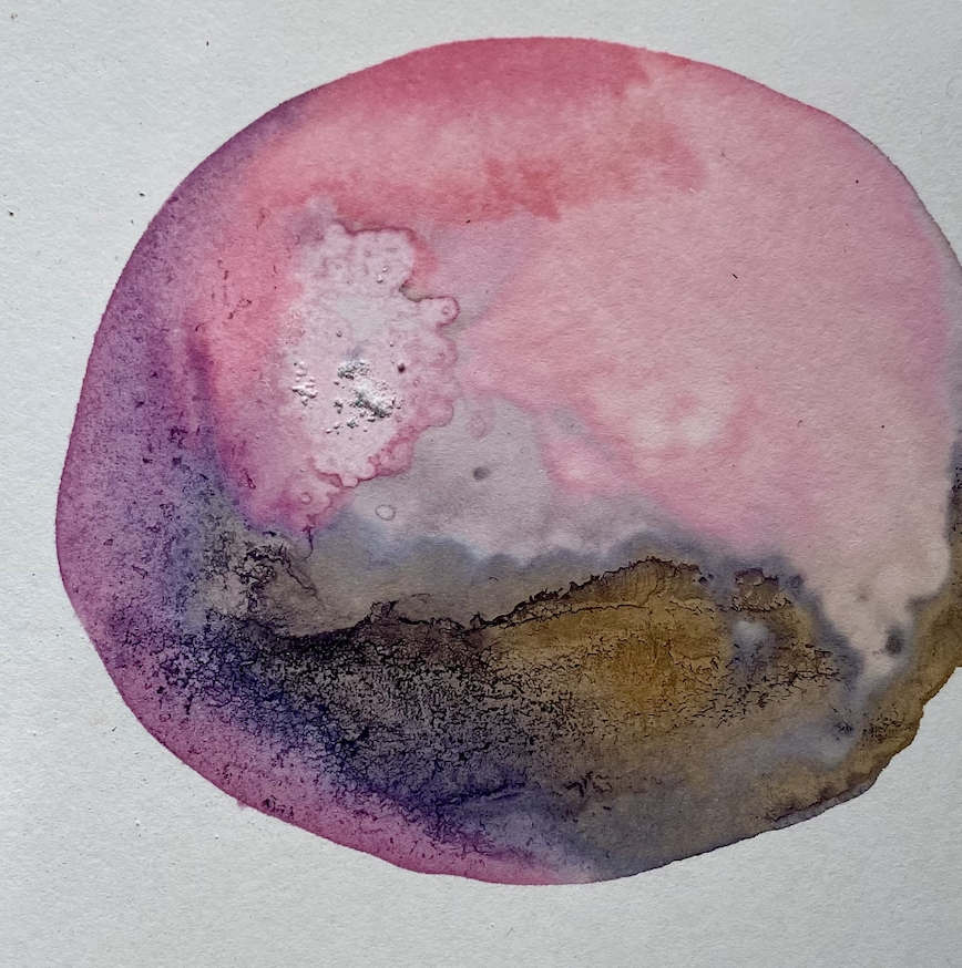 Rose dried lining paper .png