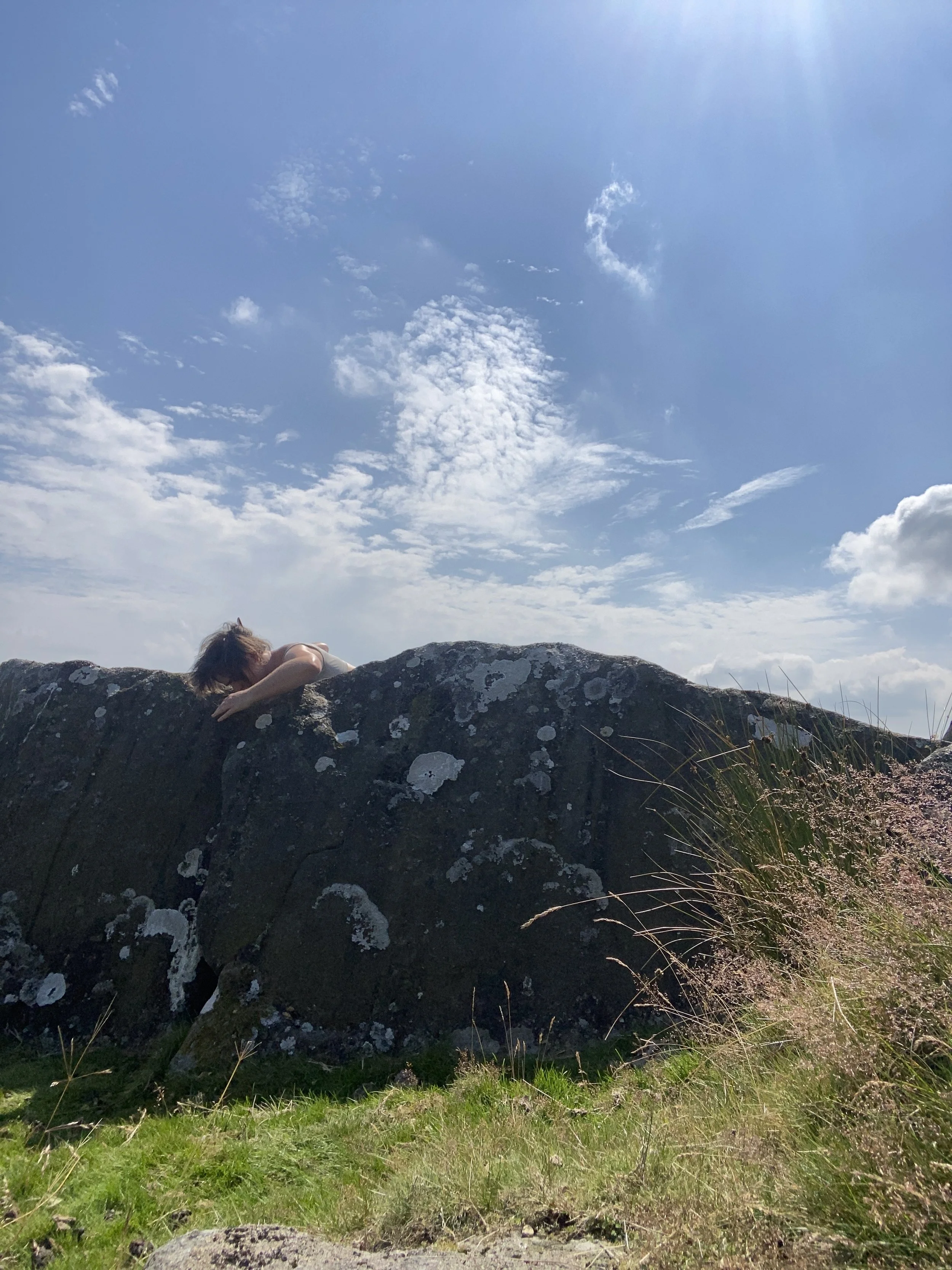 31st July - Preseli 5.JPG