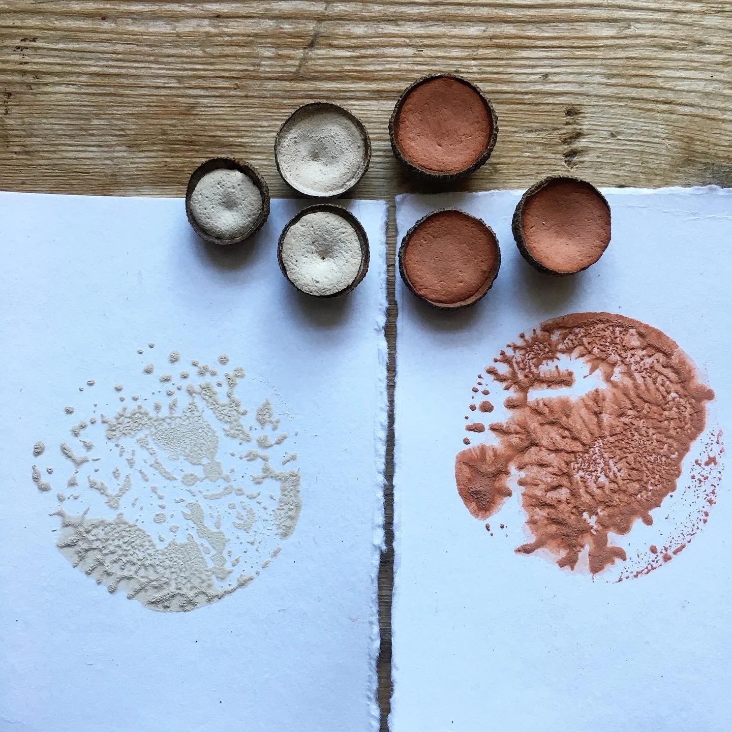 The Natural INK Project