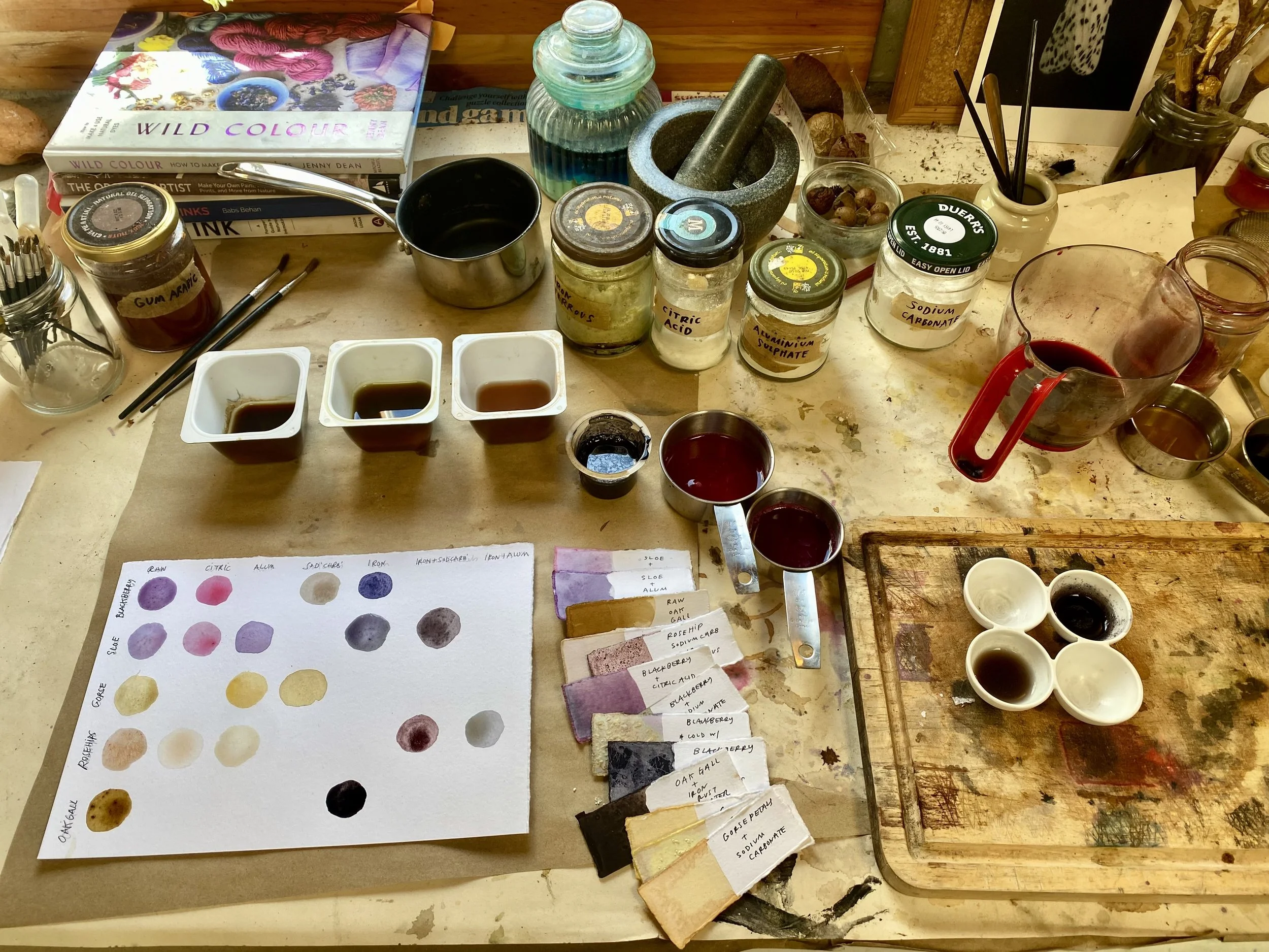 The Natural INK. Guide