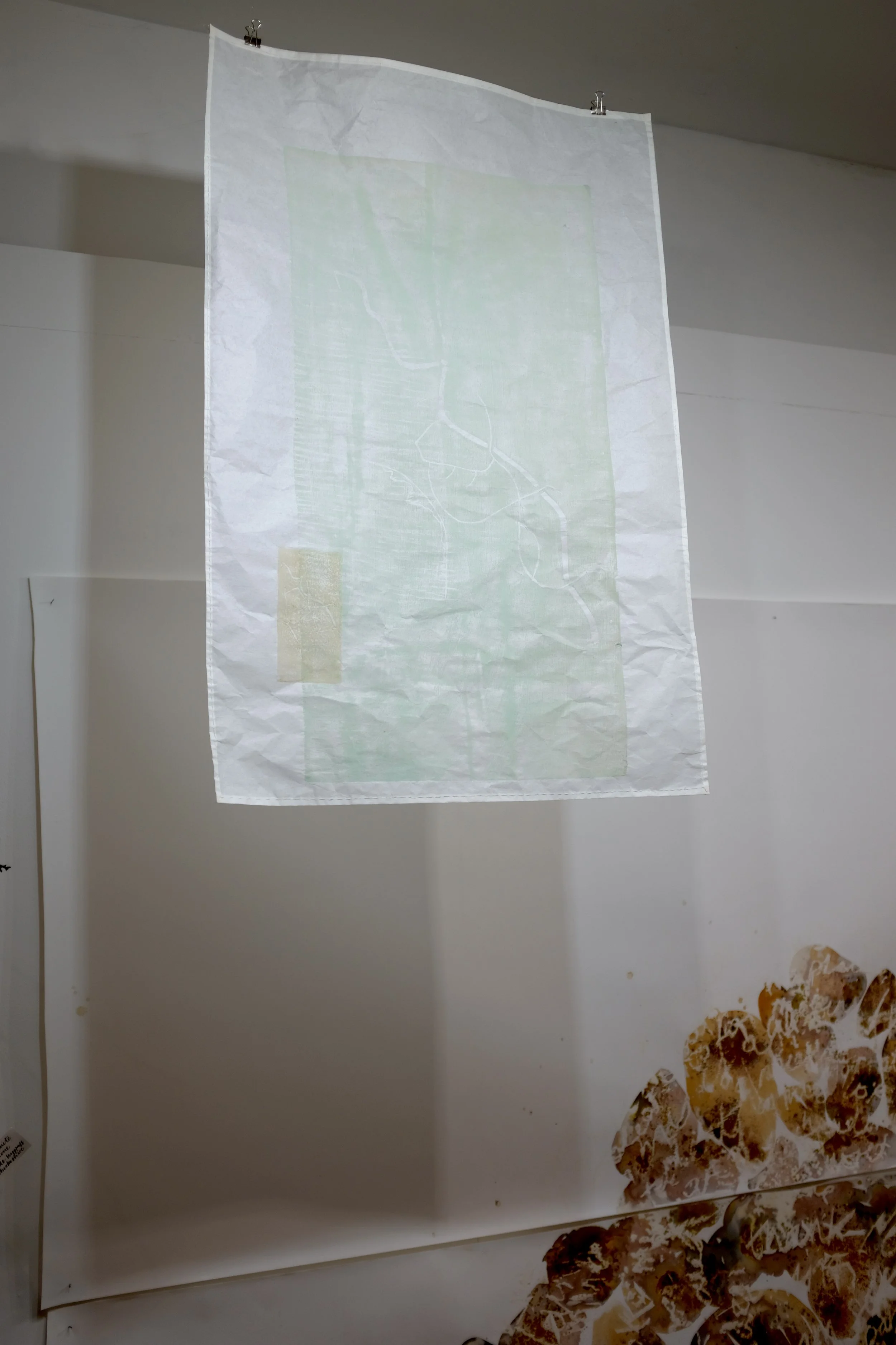 DSCF9131.JPG