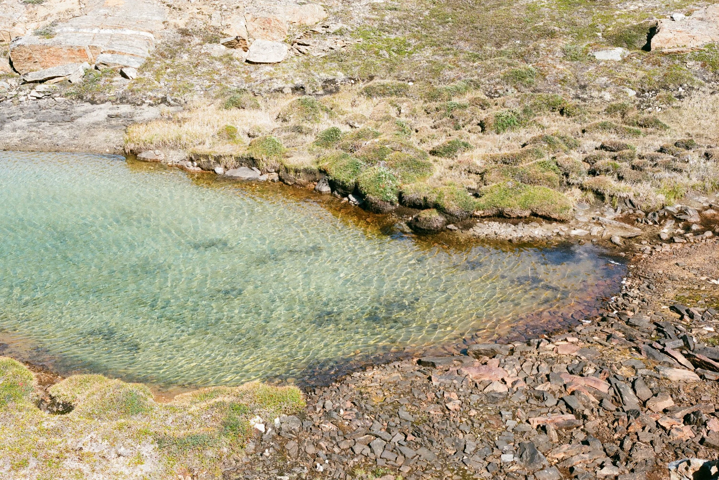 A small clear pond with light green water surrounded by rocky terrain and some low-lying bushes and plants.