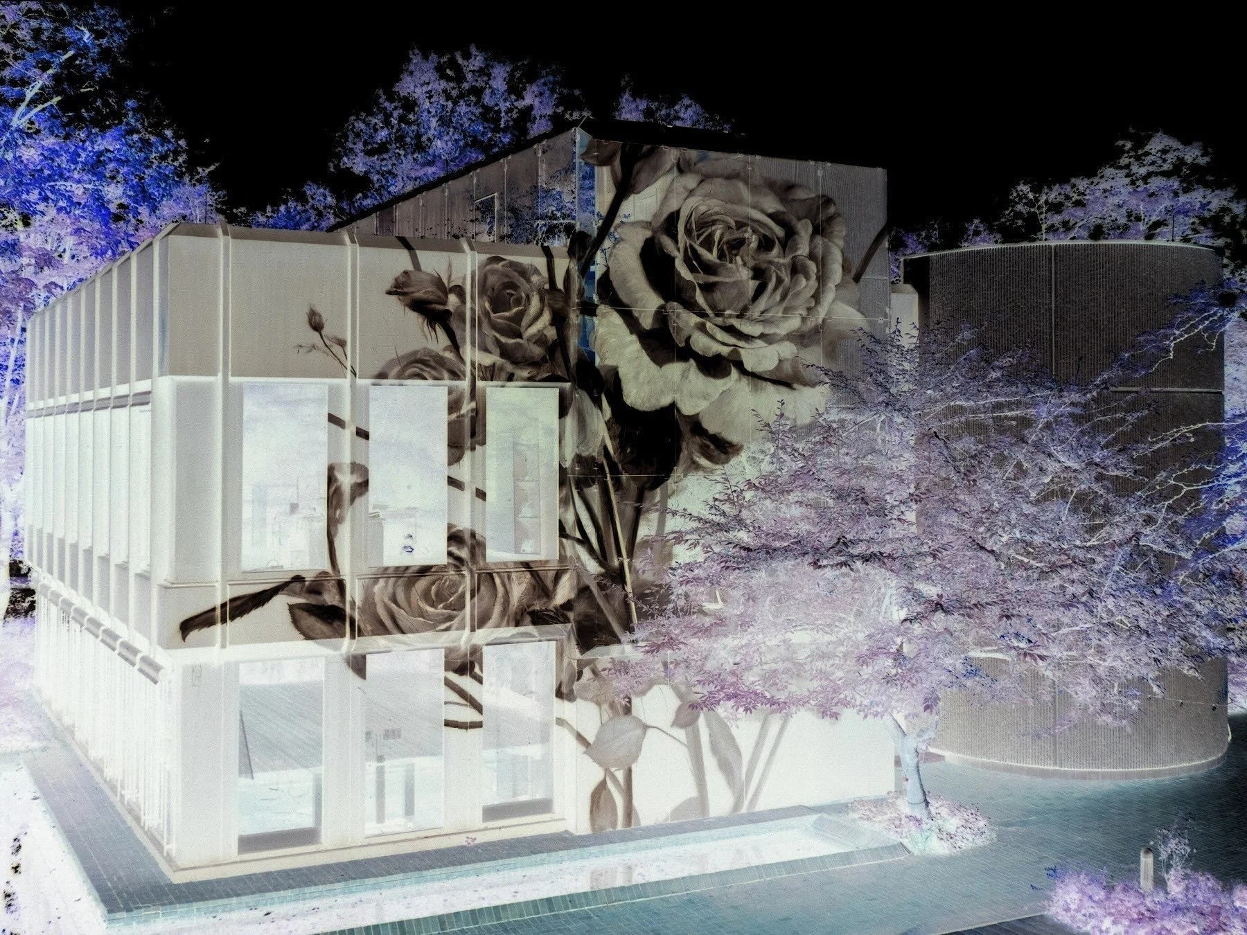 Das Bild zeigt ein modernes Gebäude mit einer großen Wandmalerei von Rosen. Es ist nachts, mit beleuchteten Bäumen im Hintergrund.