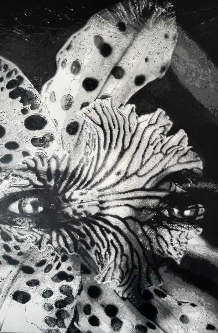 anja-zeilinger-stencil-art-avenue.png