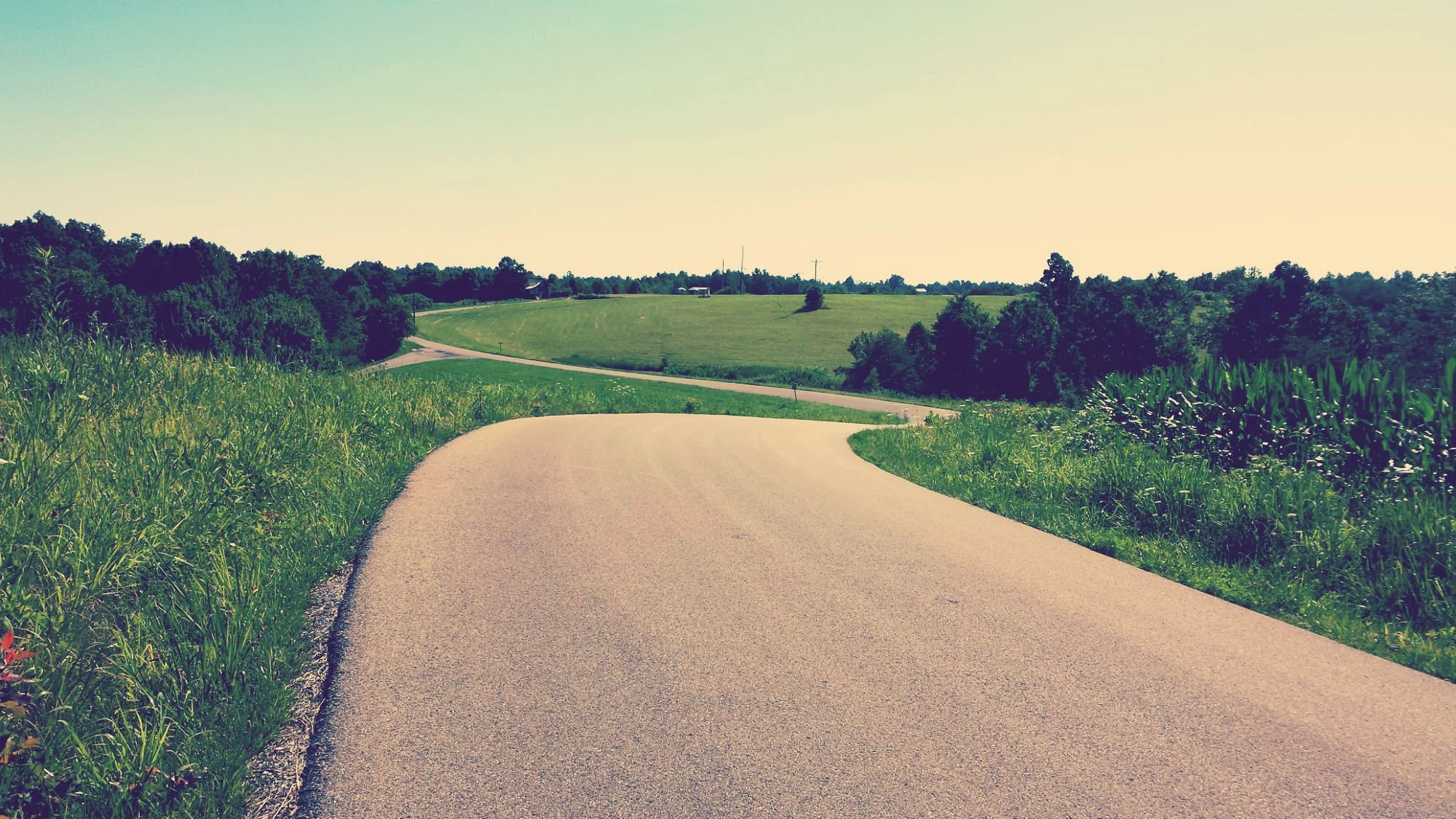 Critical Clarity: What to Expect