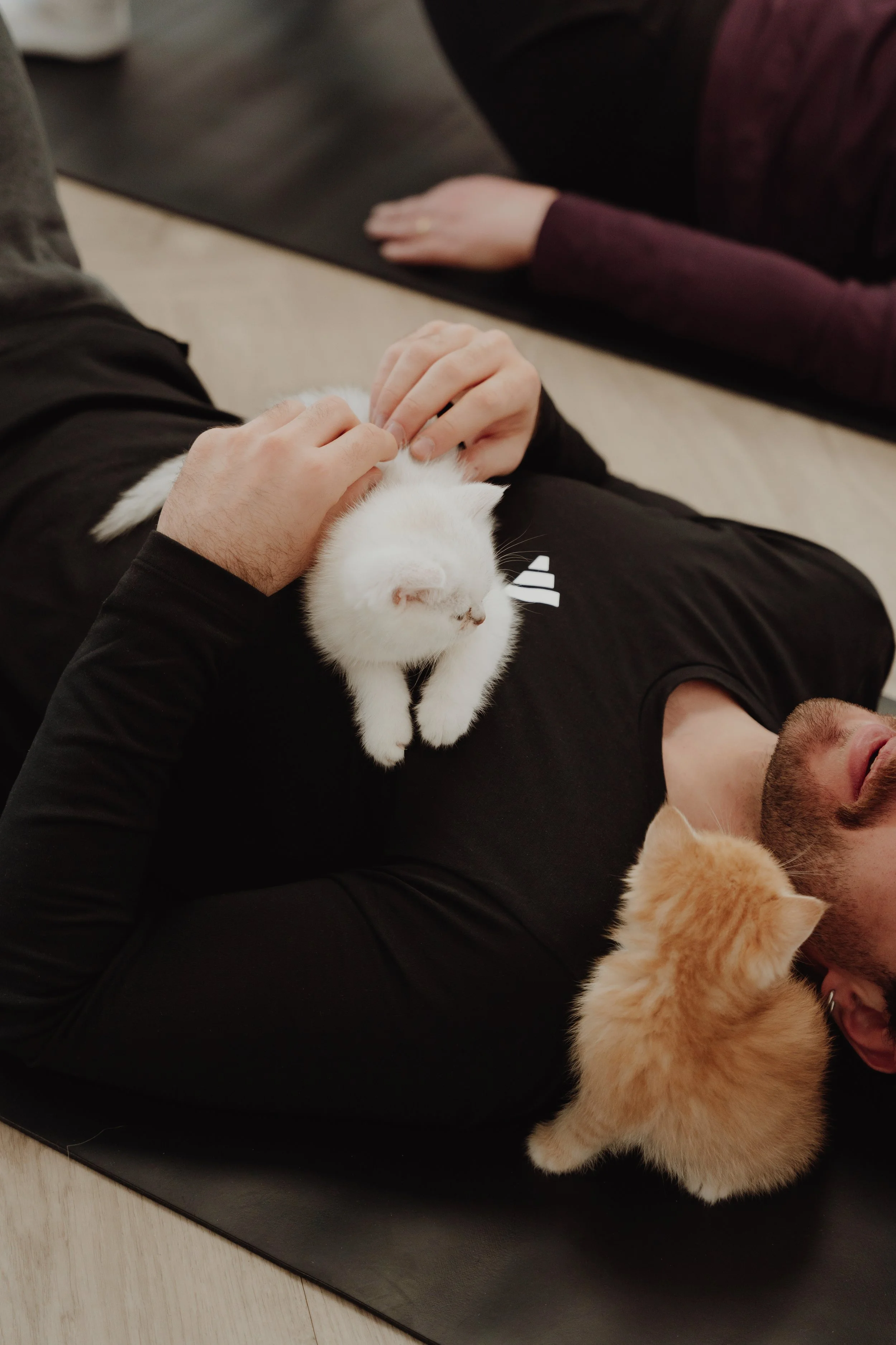 A man lying on a black exercise mat with a white kitten on his chest, while another person pets the kitten. There is an orange kitten near the man's head.