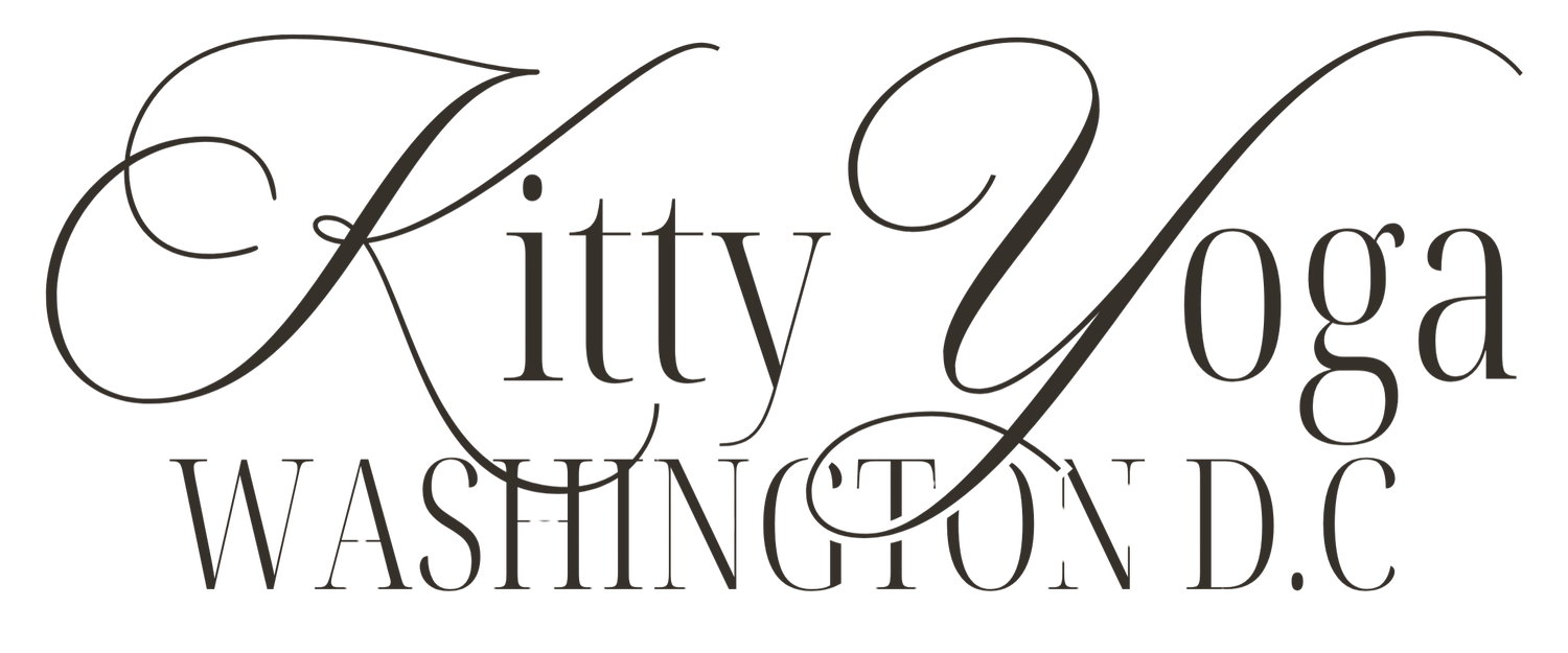 Kitty Yoga DC 