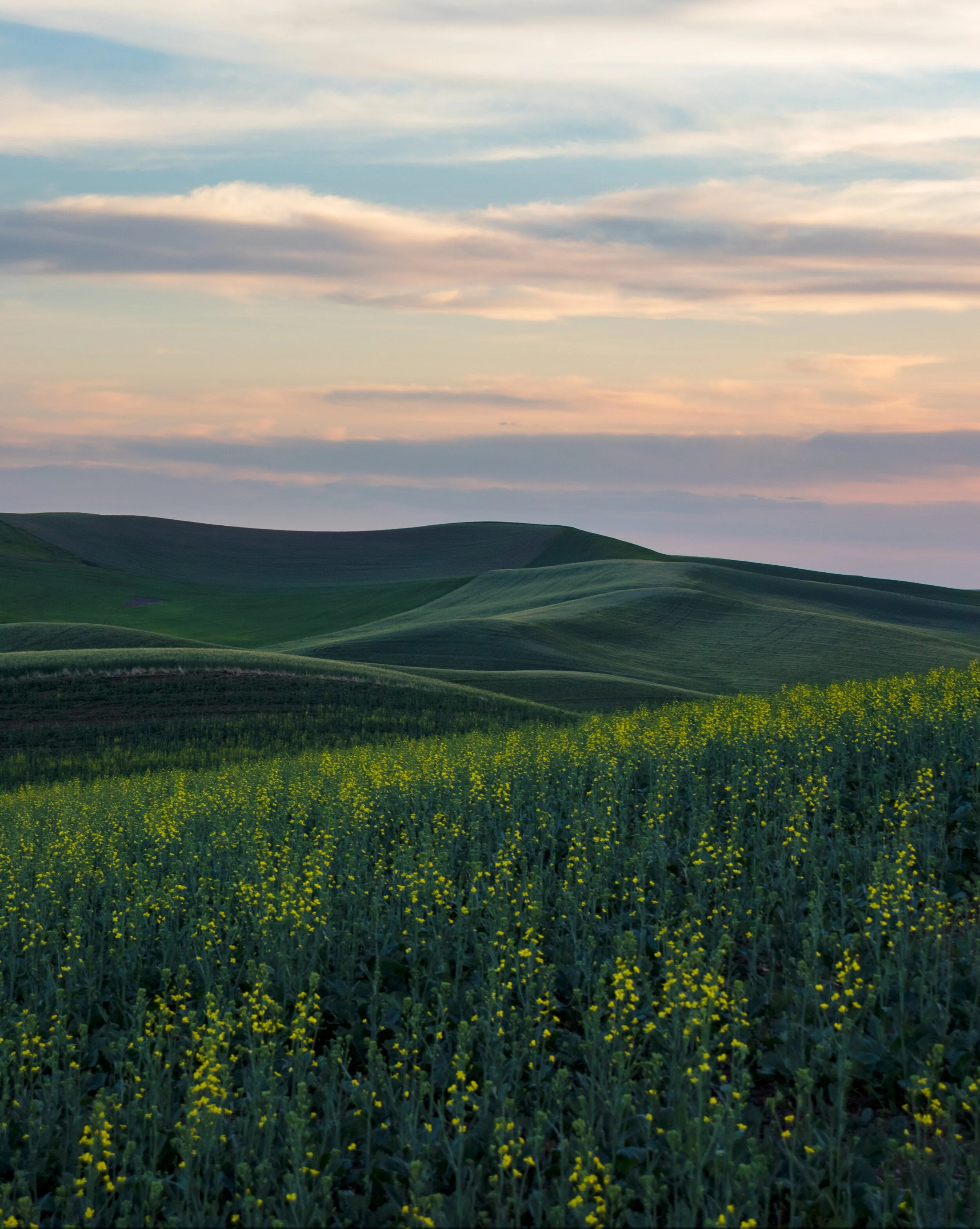 Green rolling hills under a partly cloudy sky at sunset.