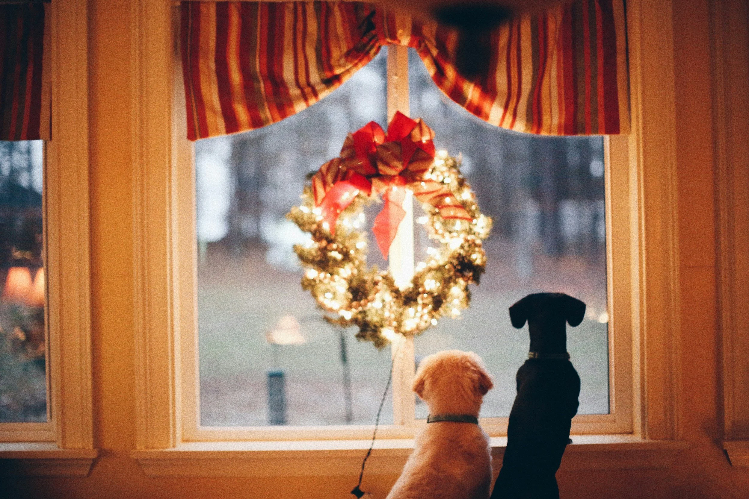 Tune Into The Magic &amp; Joy Of Holidays