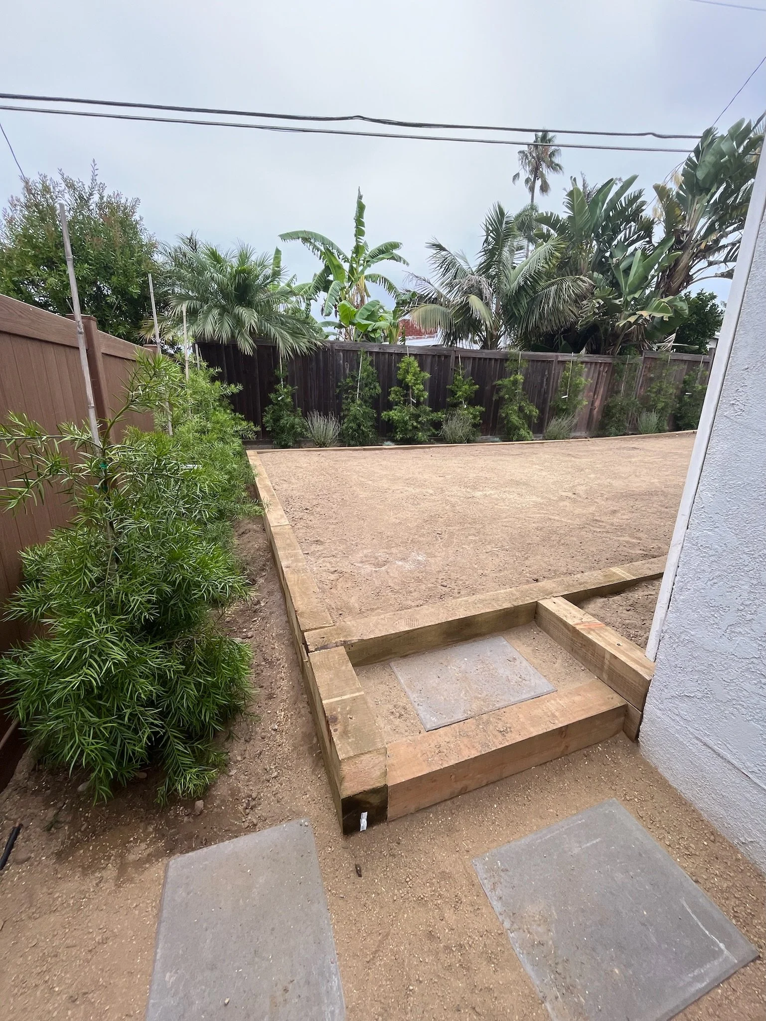 Project Buena Ventura: After