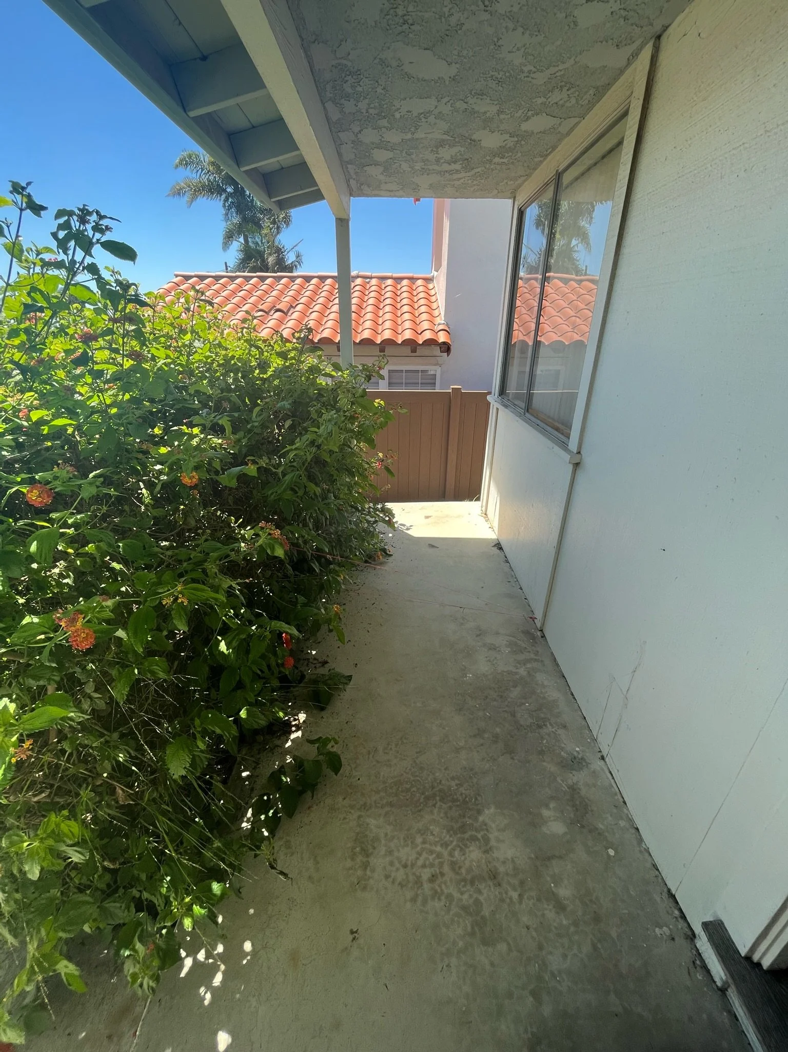 Project Buena Ventura: Before